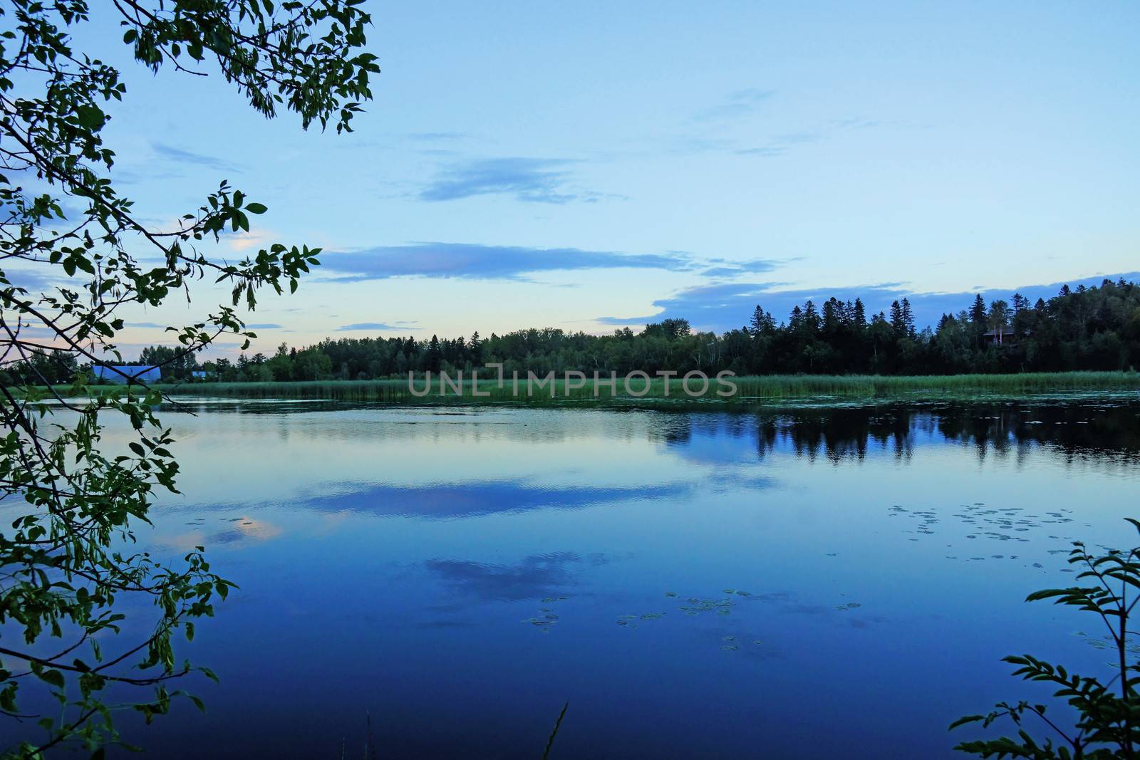 Night fall on a pond by Mirage3