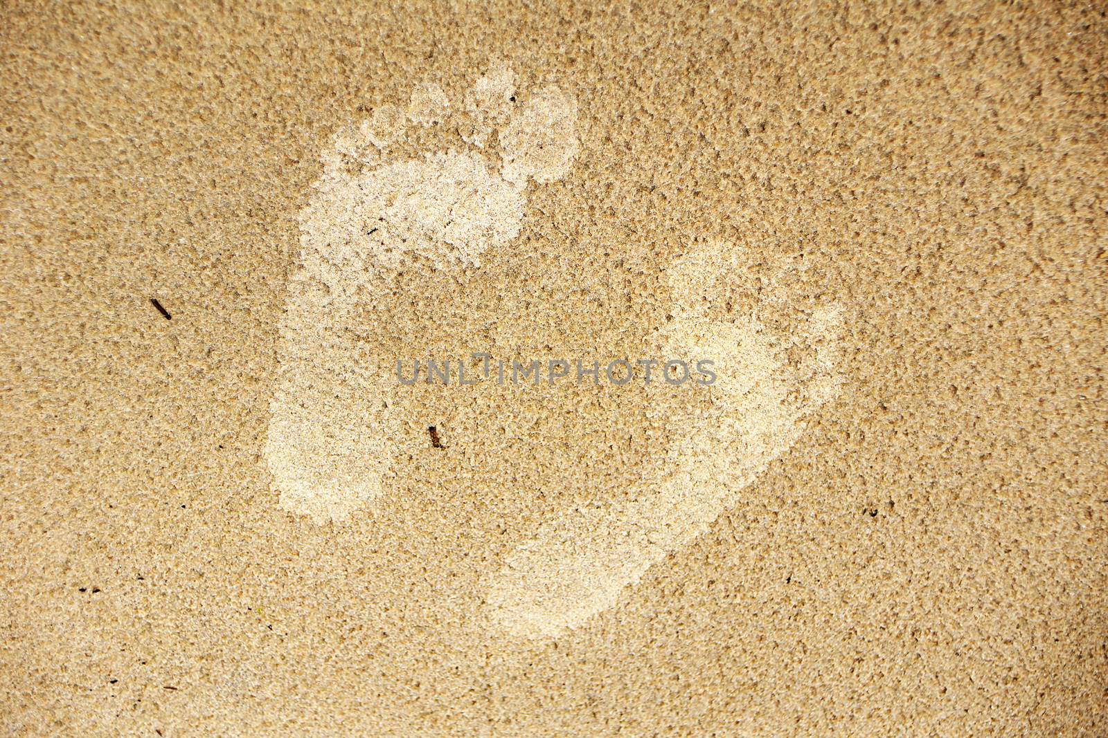 Footprints in the sand of a beach