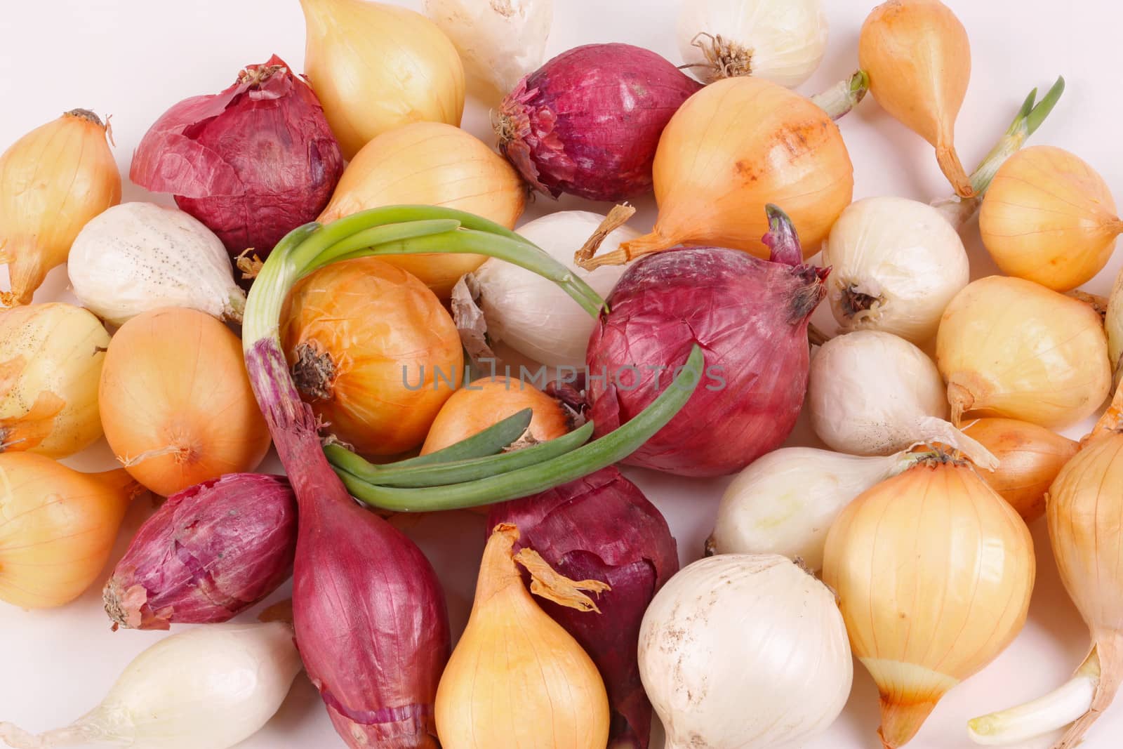 Small bulbs of red, white and yellow onions (Allium cepa) ready to be planted as sets or used for cooking