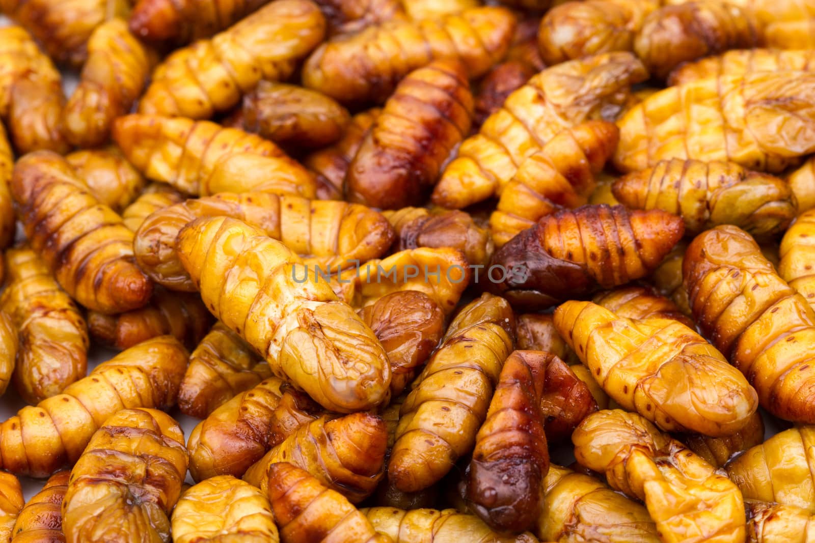 baby silk worm cooked, expensive food in Thailand