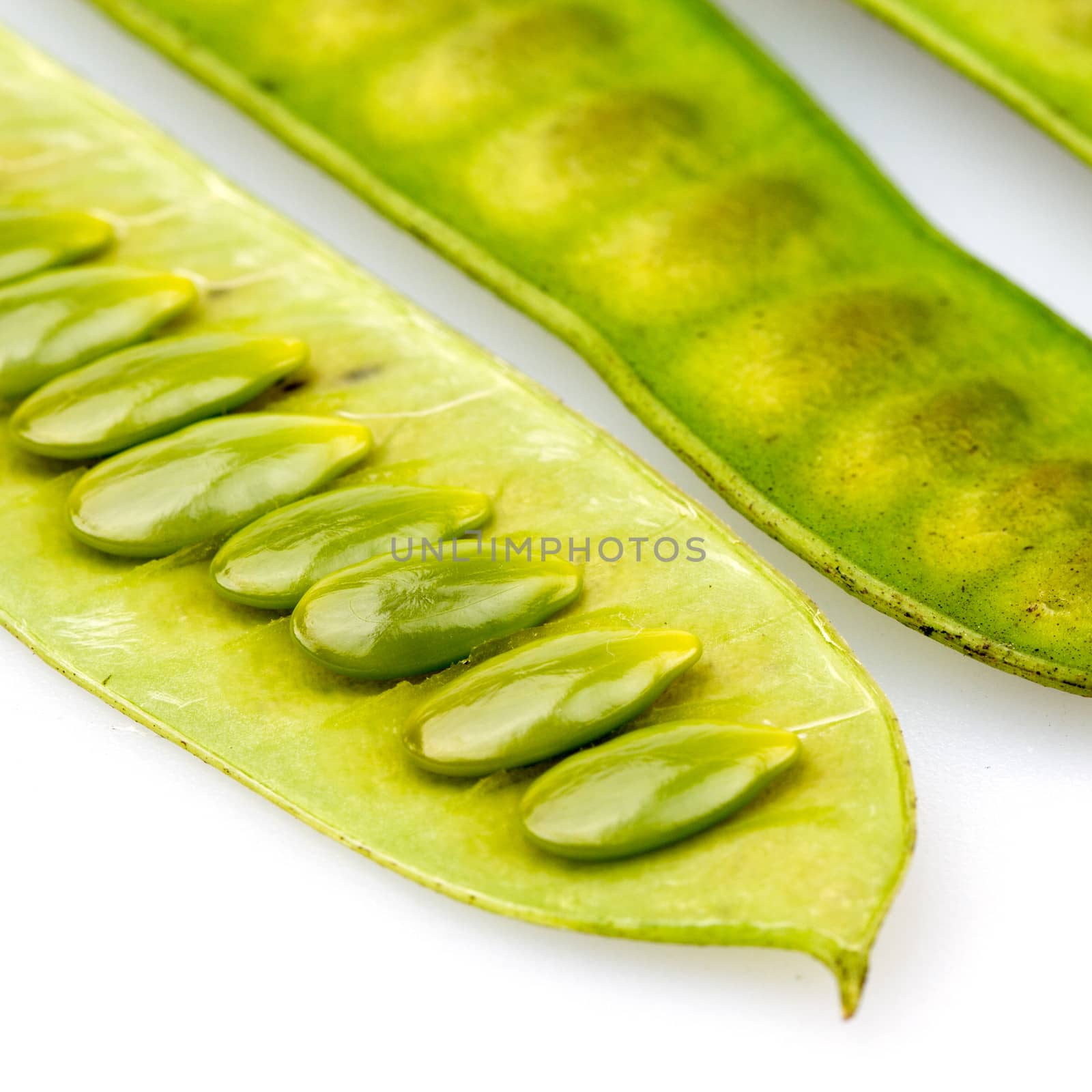 Lead Tree ; Horse tamarind ; Leucaena ; Jumbay ; White popinac. Its young leaf and pod used as food, in Thai is Kratin