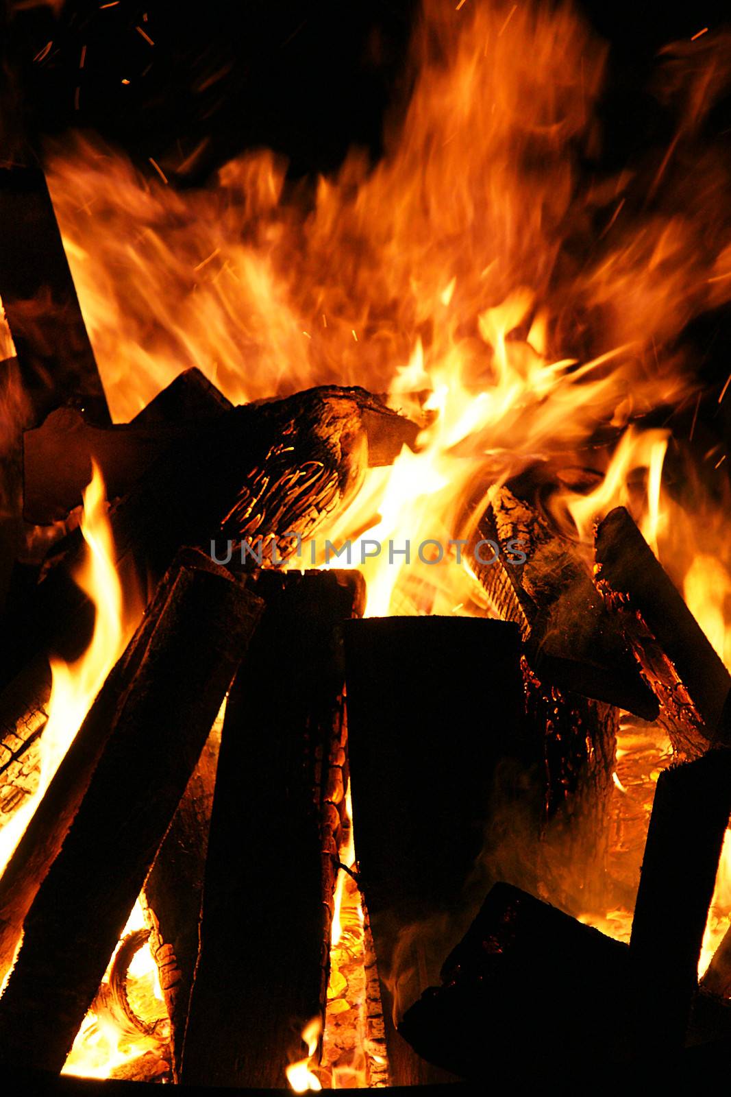 Bonfire with burning wood logs
