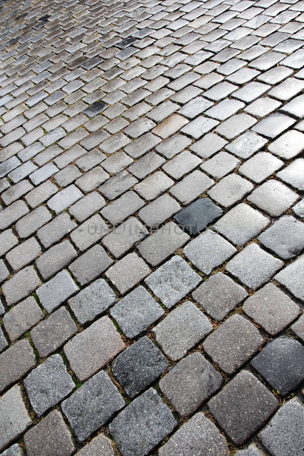 Old and wet cobblestoned street in Nuremberg, Germany.