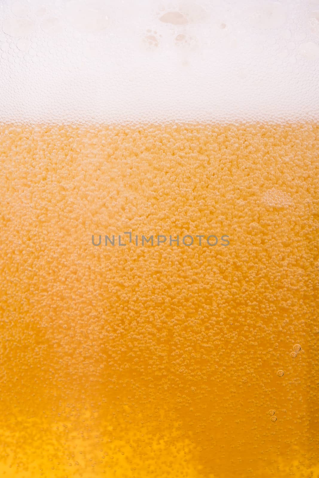 Close up, macro view of droplets, beer bubbles.