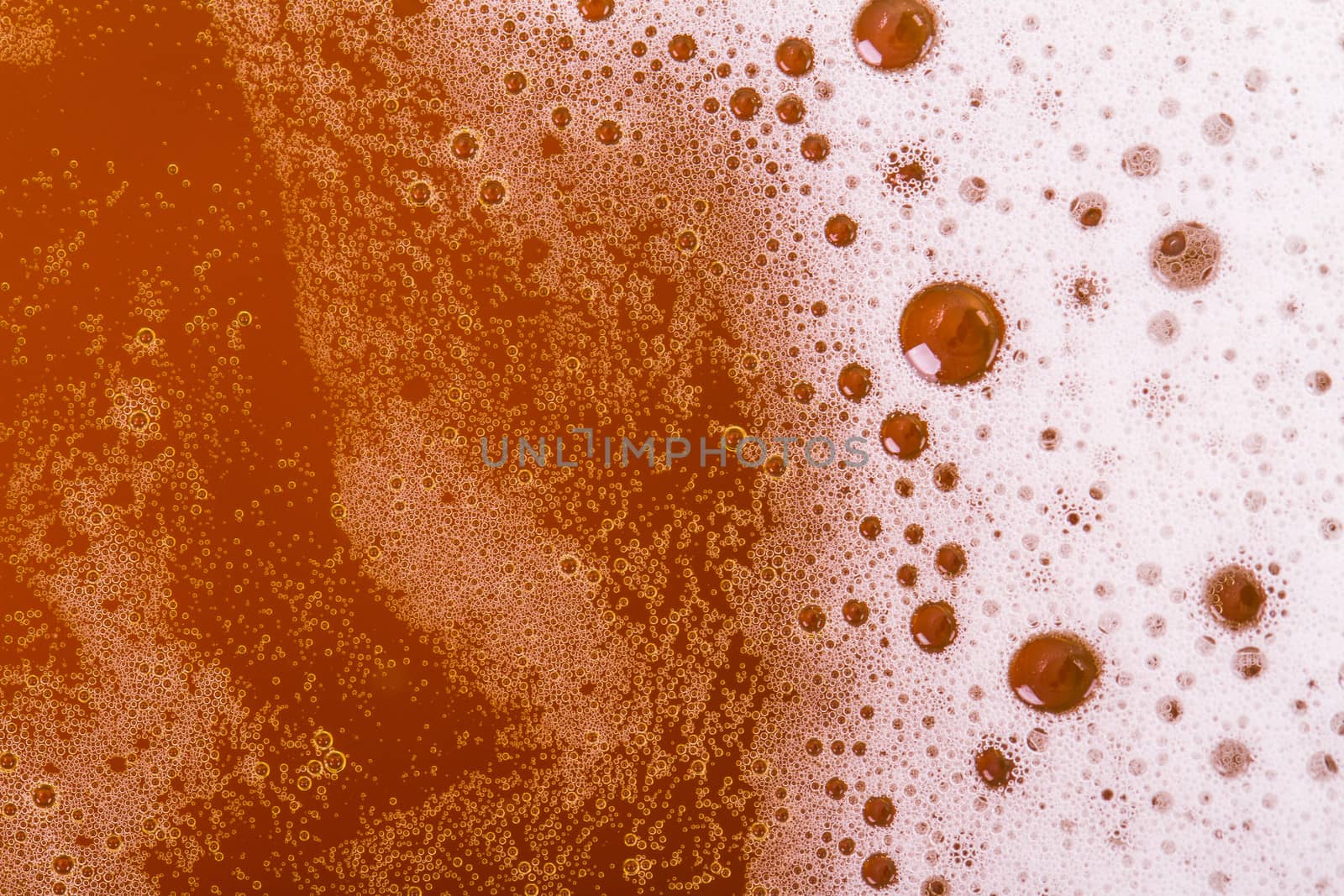 Macro view of beer foam, top view.
