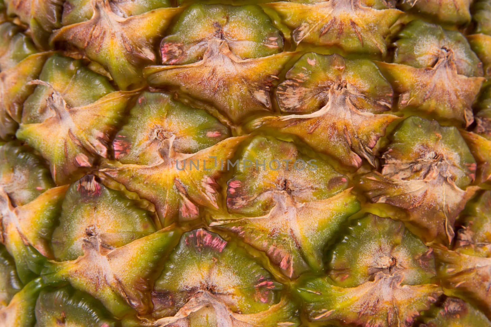 Horizontal green pineapple, ananas texture.