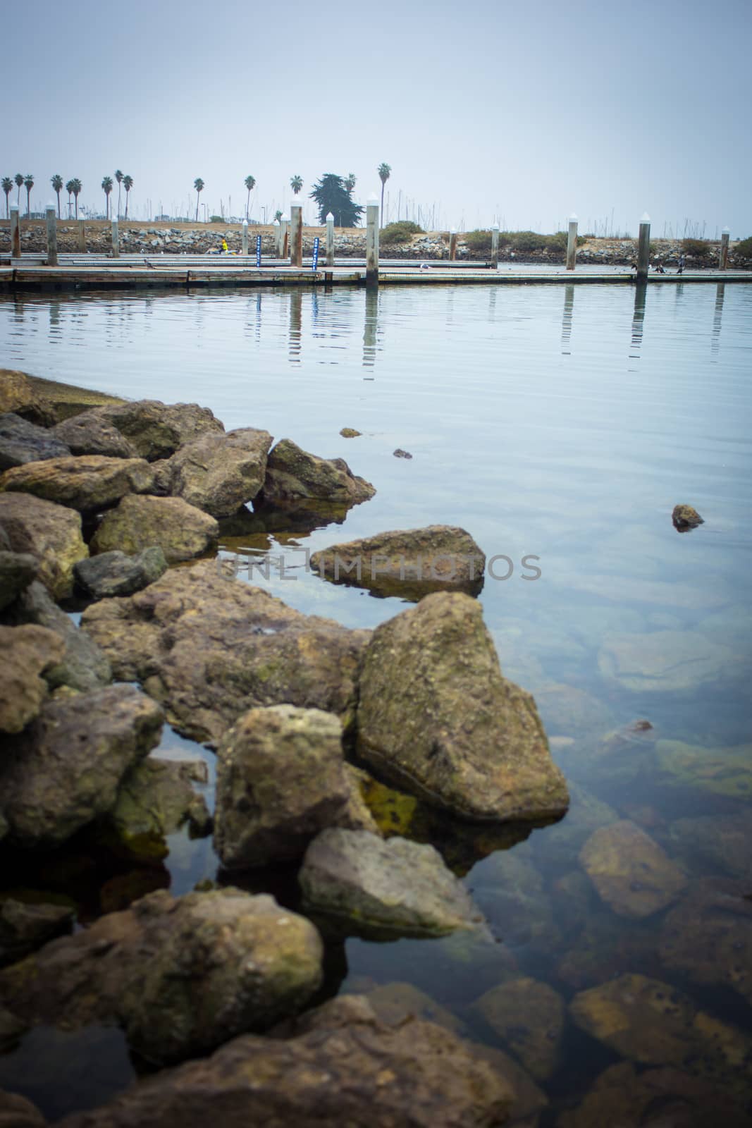 An overcast day at the harbor. Low tide leaves the rocks wet. In the distance palmtrees line the horizon.