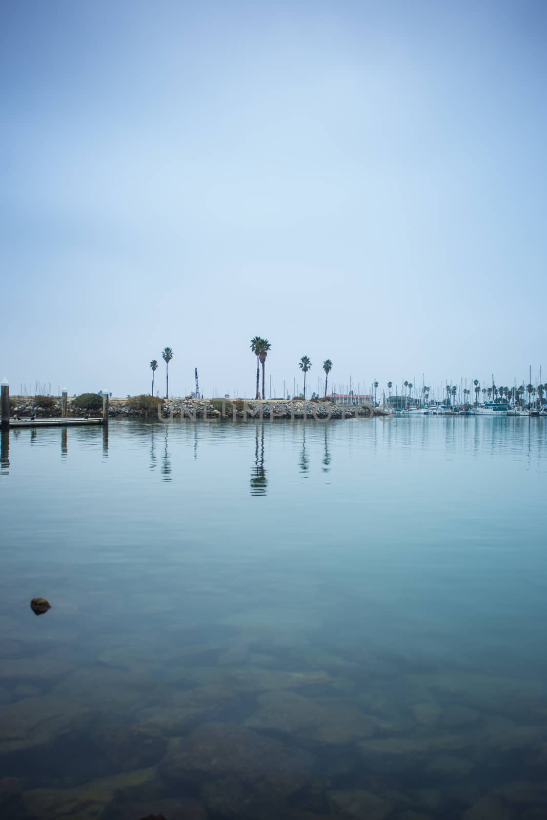 A beautiful reflection of palm trees and boats across the harbor. Rocks submerged under a wonderful aqua blue green sea water.