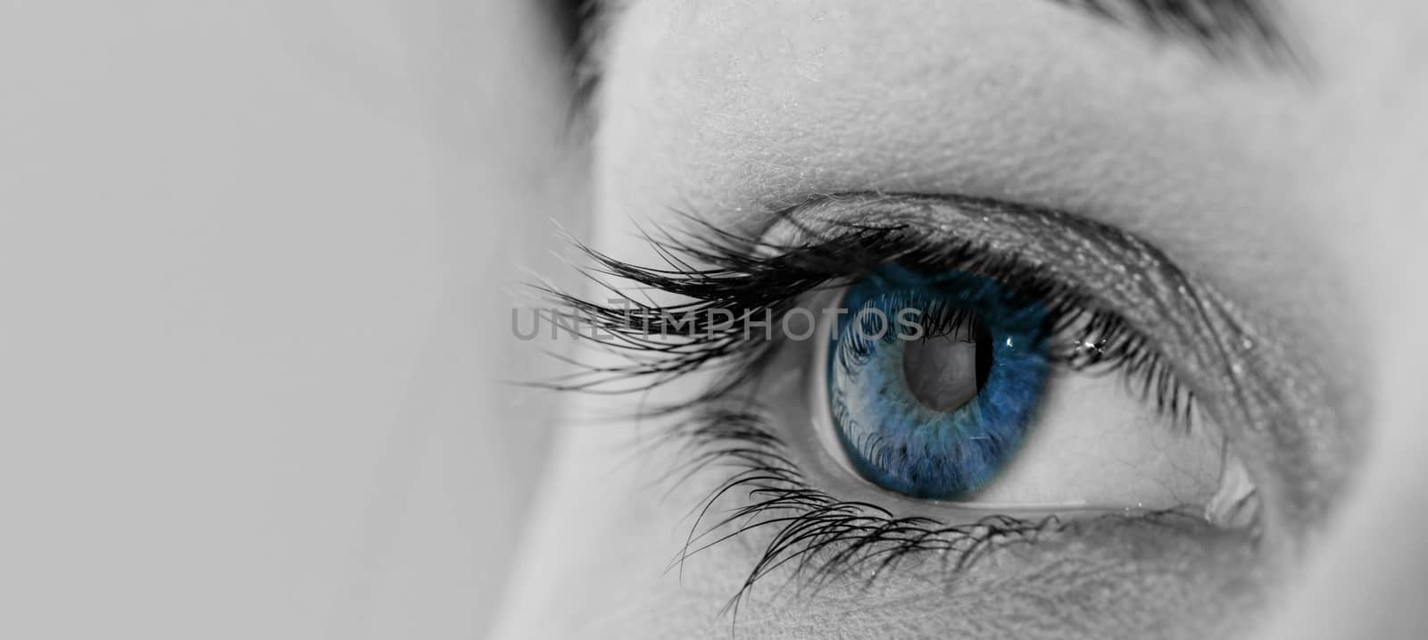 beautiful woman wearing makeup for blue eyes  (bw)