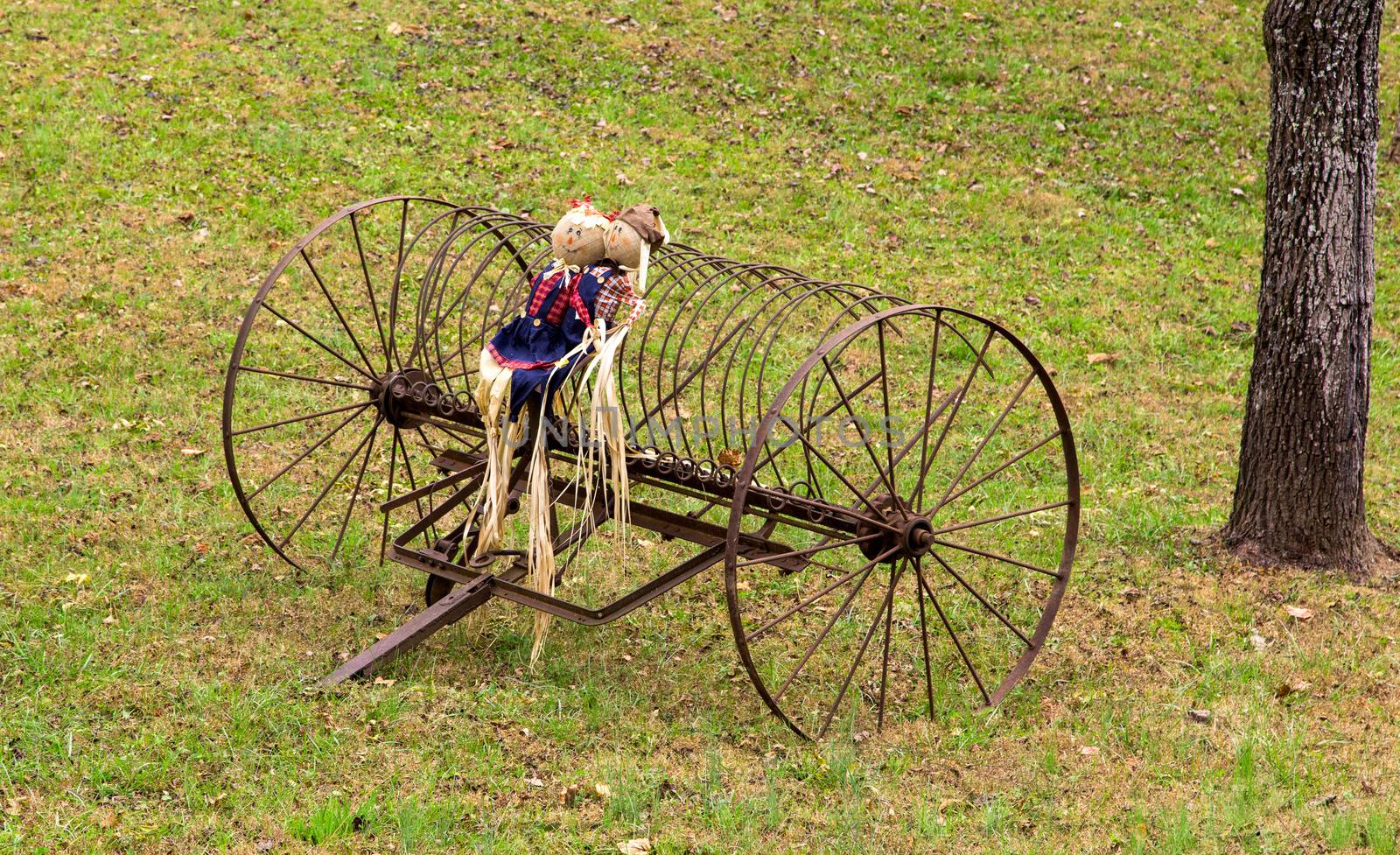 This doll couple on the old farm equipment represent the Autumn season arriving in North Carolina.