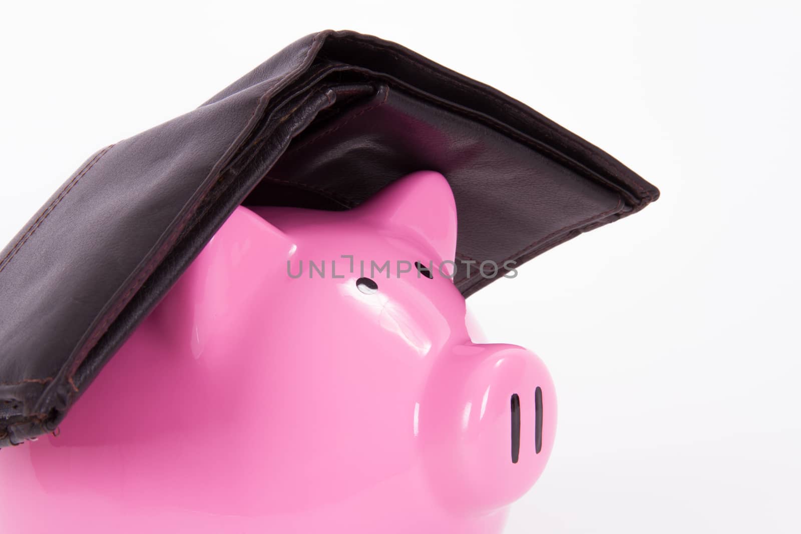 Pink piggy bank protected by dark wallet, isolated on white background.