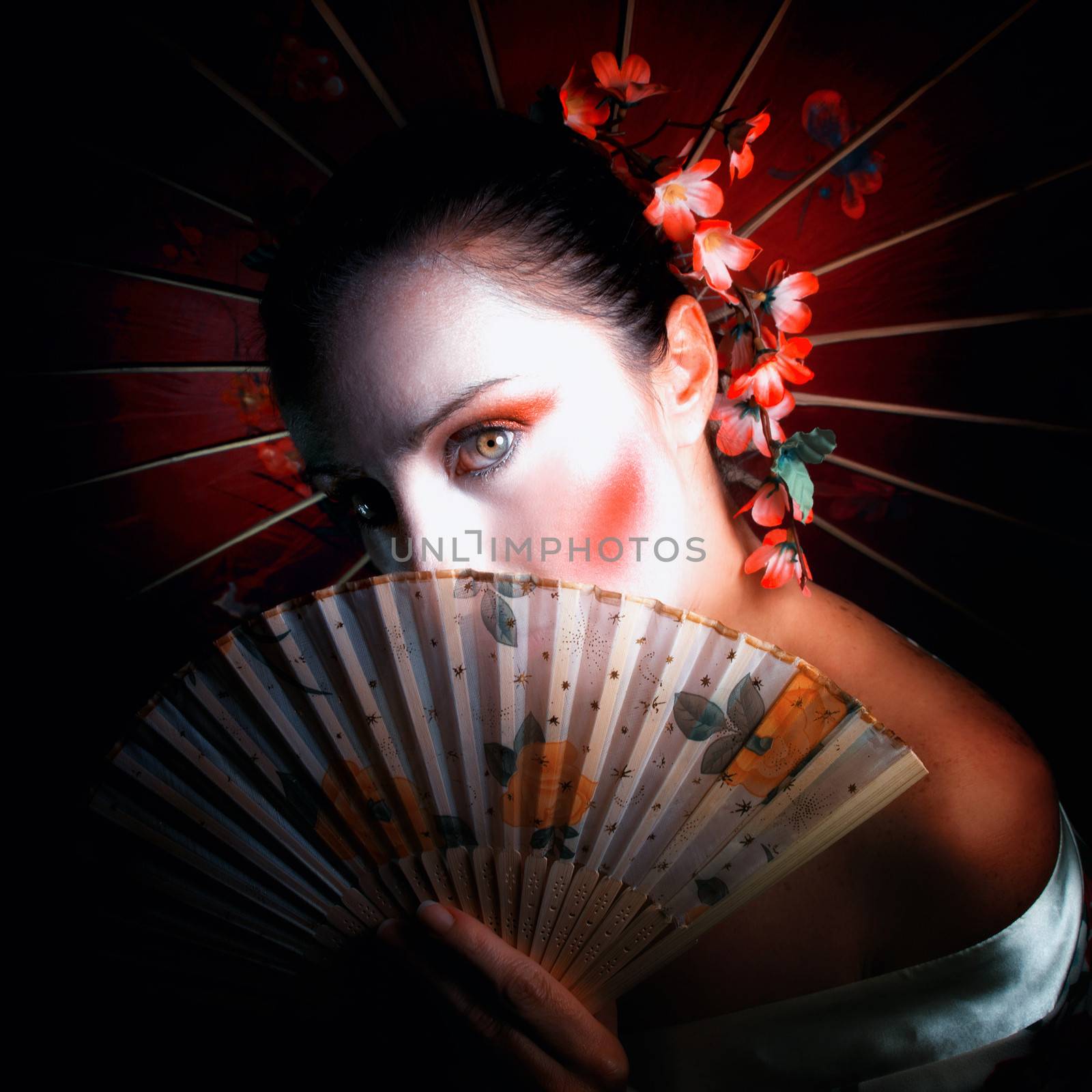 portrait of a Geisha