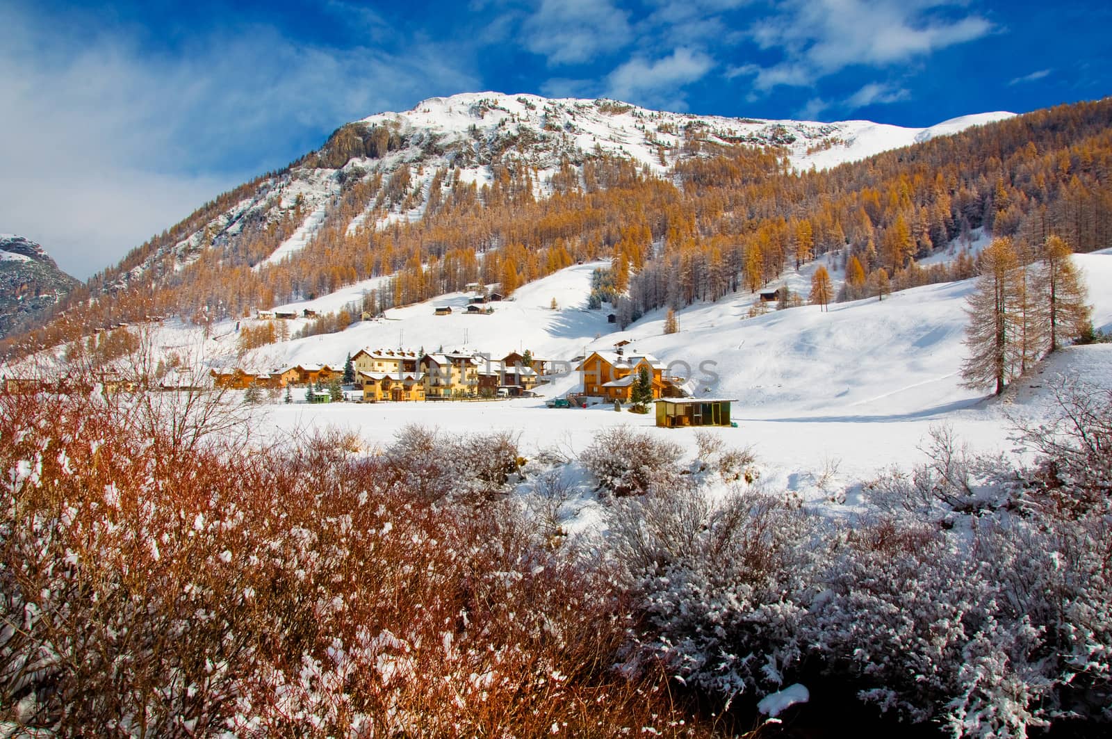 Livigno in winter landscape