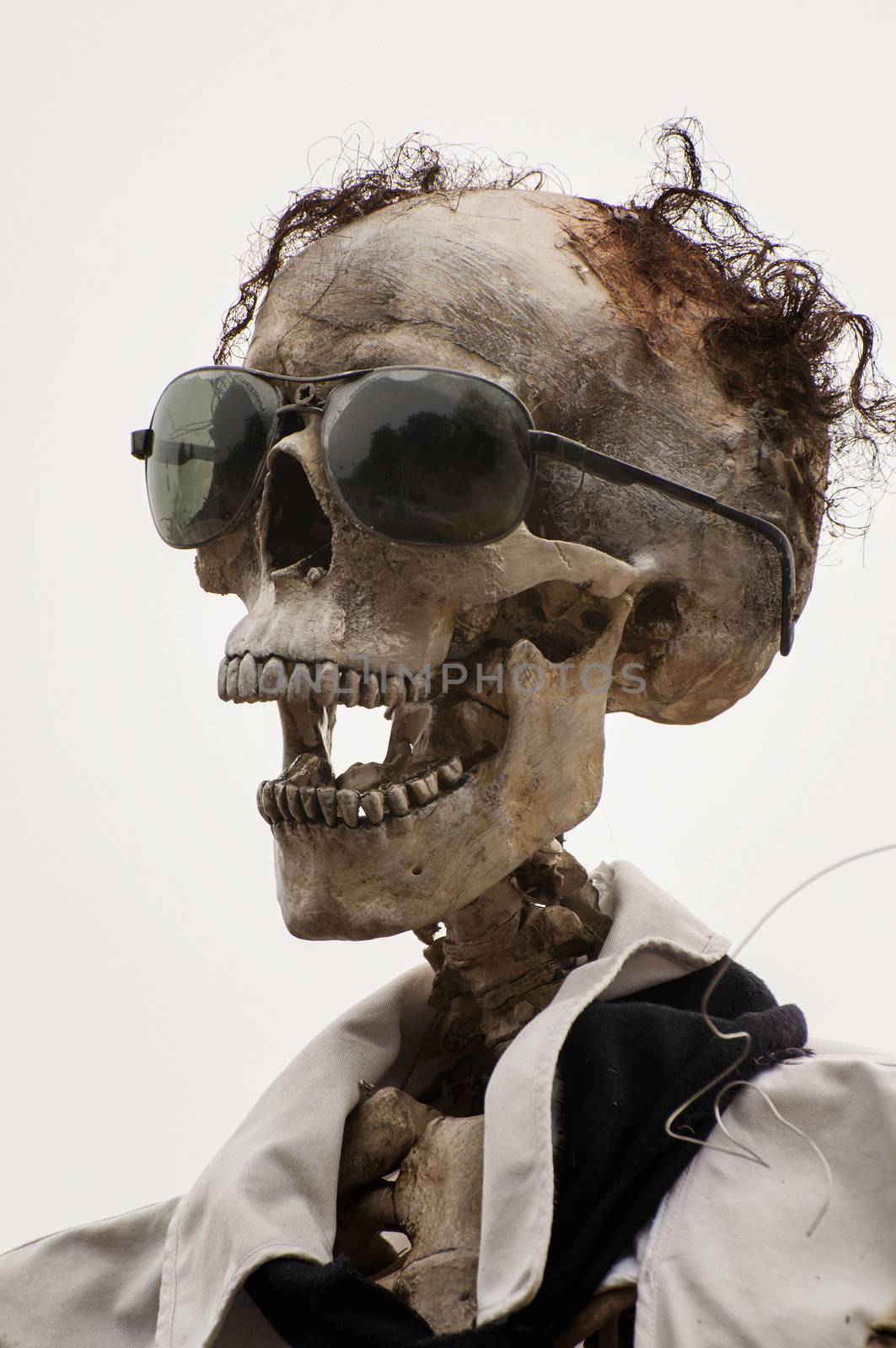 Funny skull with sunglasses by sognolucido