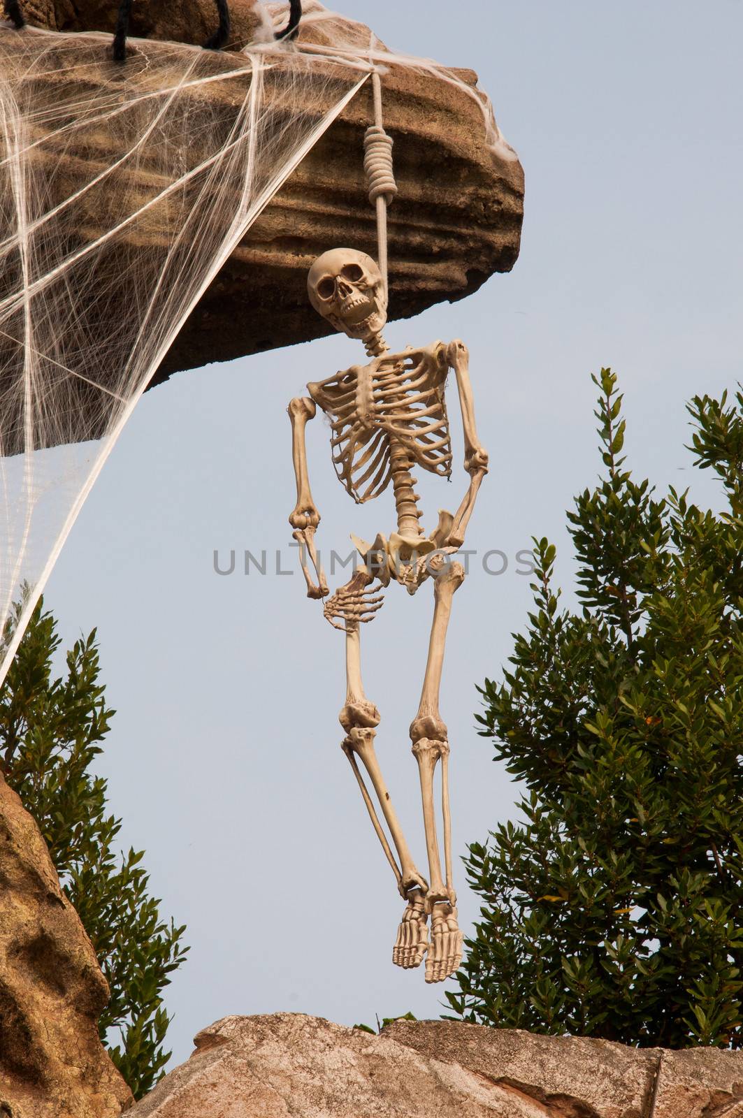 skeleton hanging
