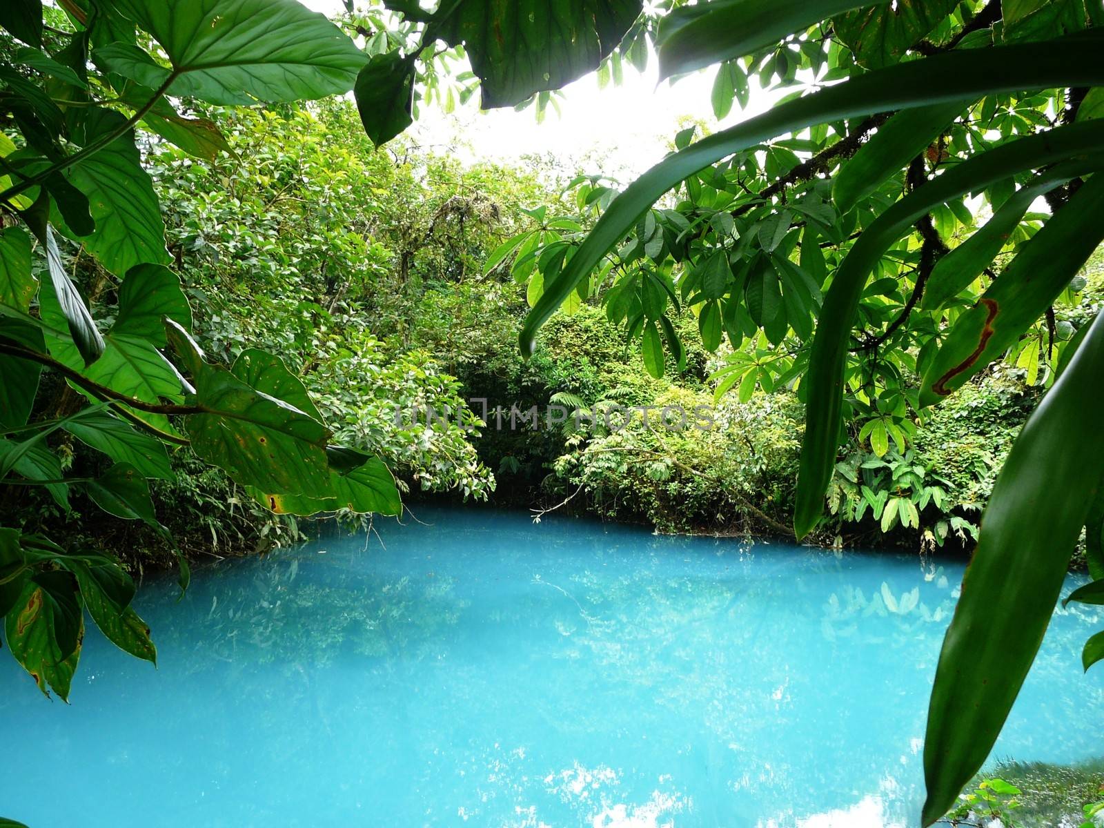 Incredible blue lagoon in Costa Rica