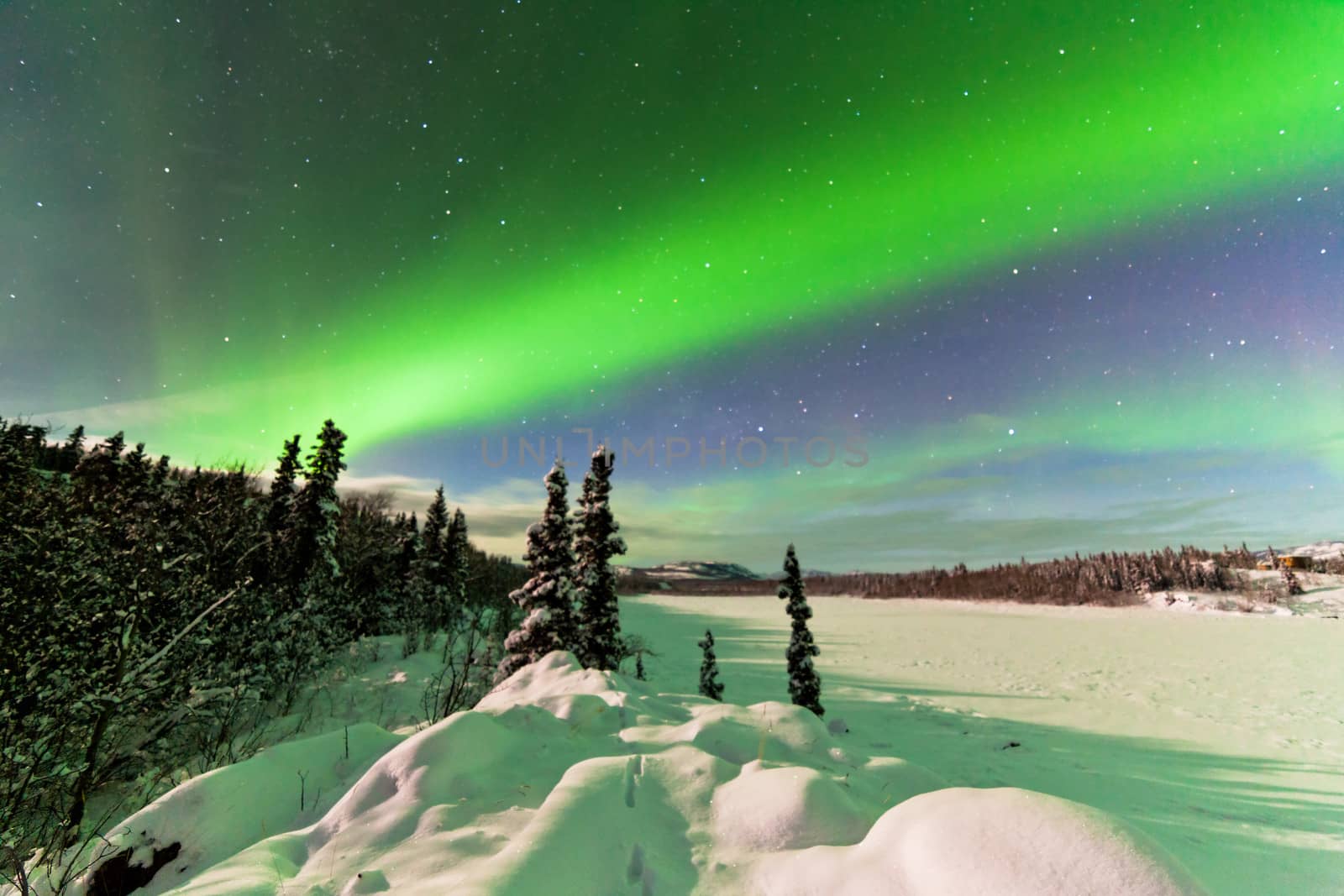Spectacular display of intense Northern Lights or Aurora borealis or polar lights forming green swirls over snowy winter landscape of frozen Lake Laberge Yukon Territory Canada