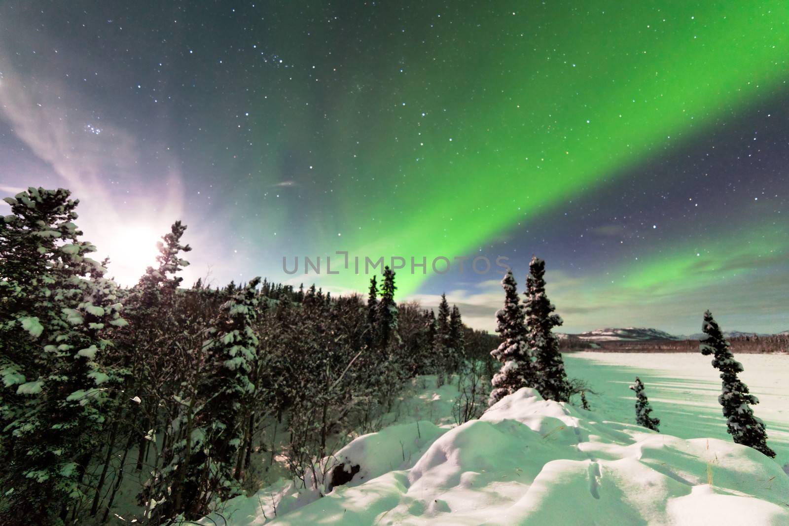 Spectacular display of intense Northern Lights or Aurora borealis or polar lights forming green swirls and moon behind ice fogs over snowy winter taiga landscape of Yukon Territory  Canada