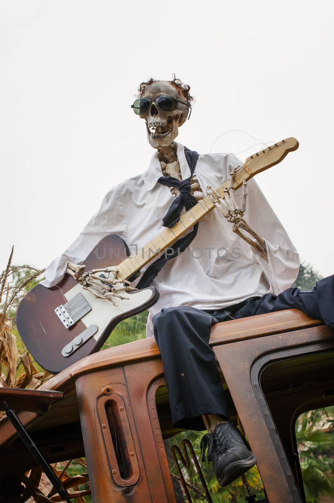 funny skeleton with guitar by sognolucido