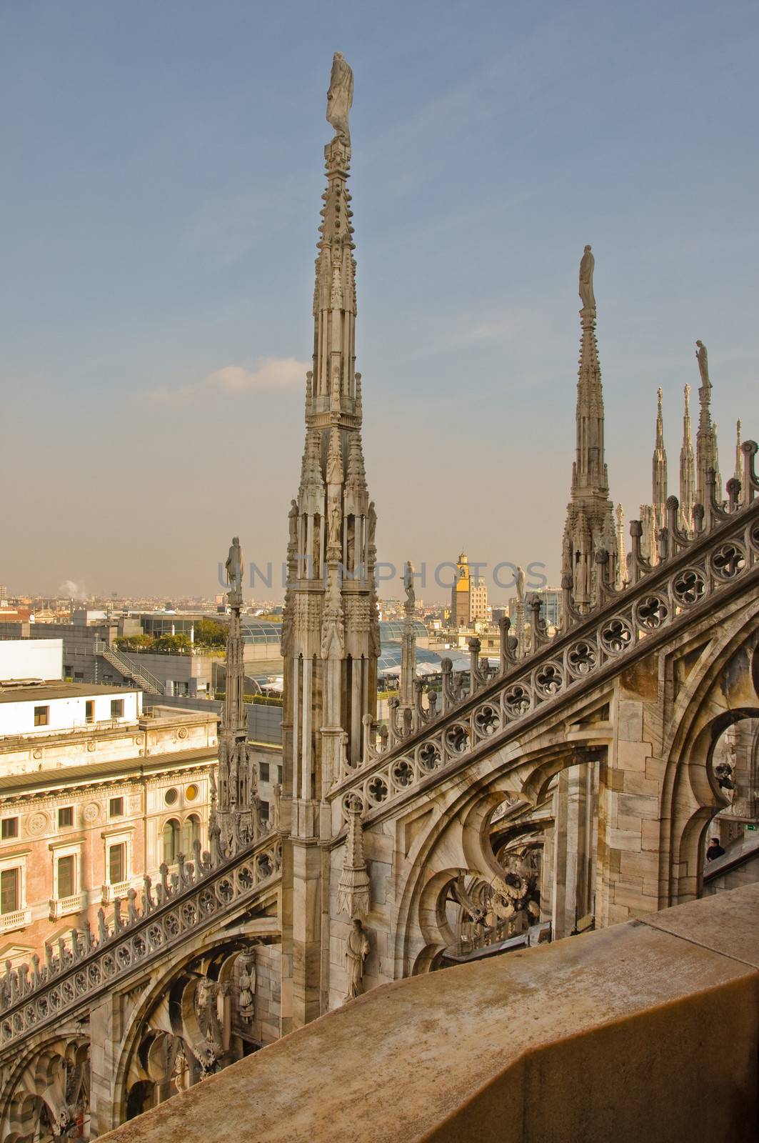 Detail of Milan Duomo in Italy by sognolucido