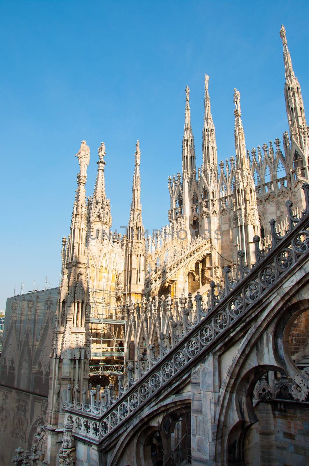 Detail of Milan Duomo in Italy by sognolucido