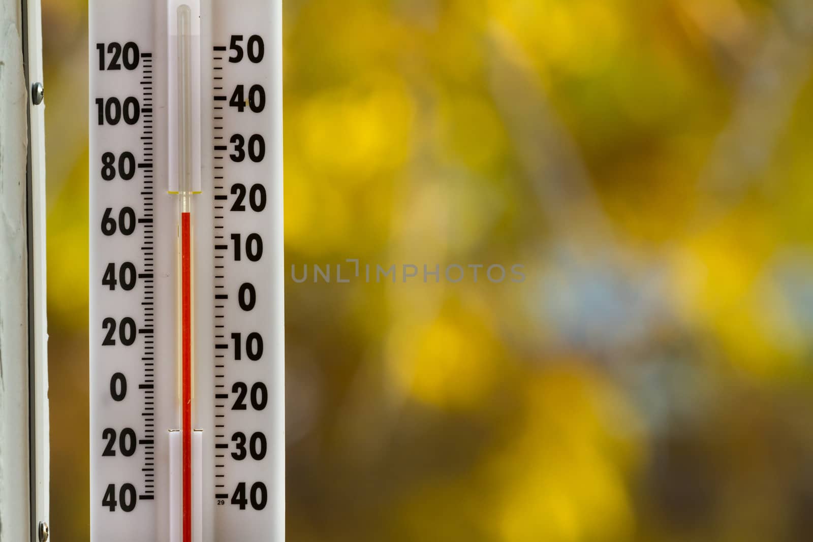 Thermometer against fall foilage that is heavily out of focus