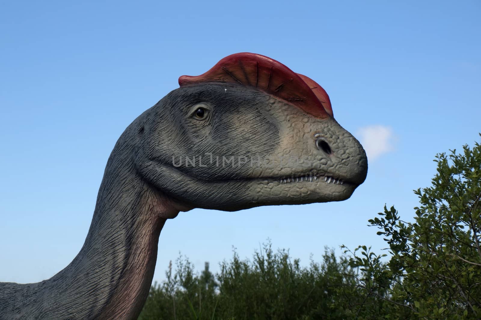 Dinosaur by johan10