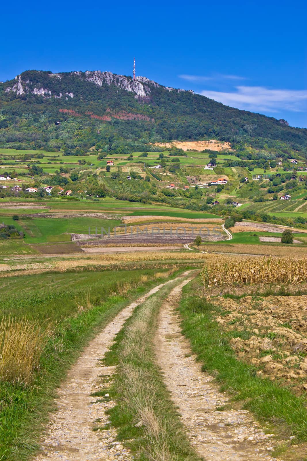 Idyllic landscape of Kalnik mountain, Croatia