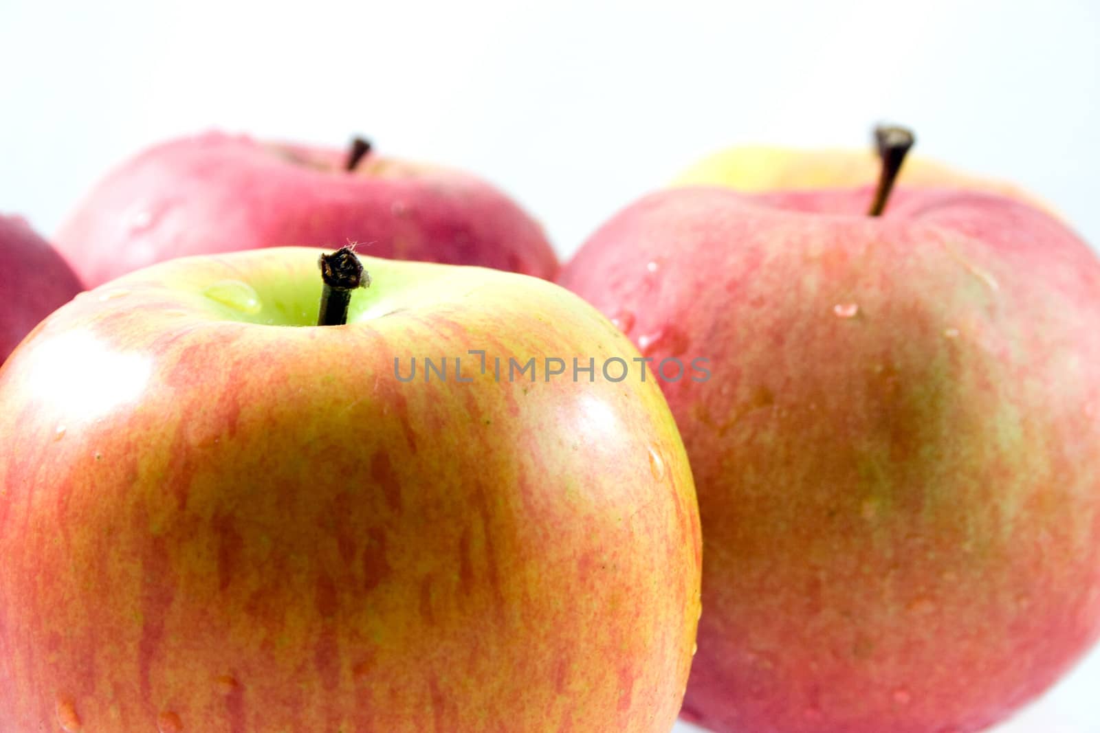 Studio shot of apples