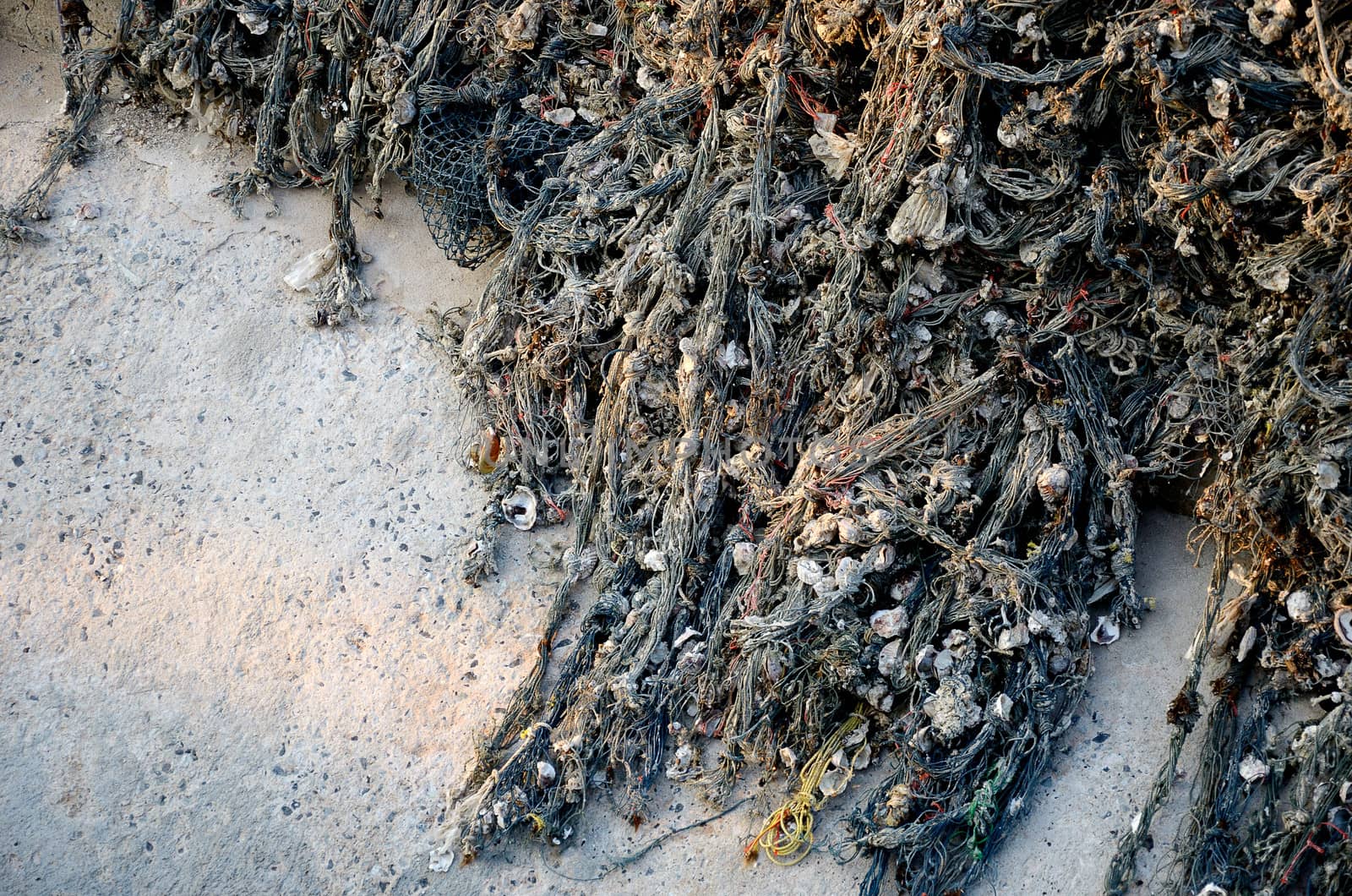 Fishing nets with seashell sticky