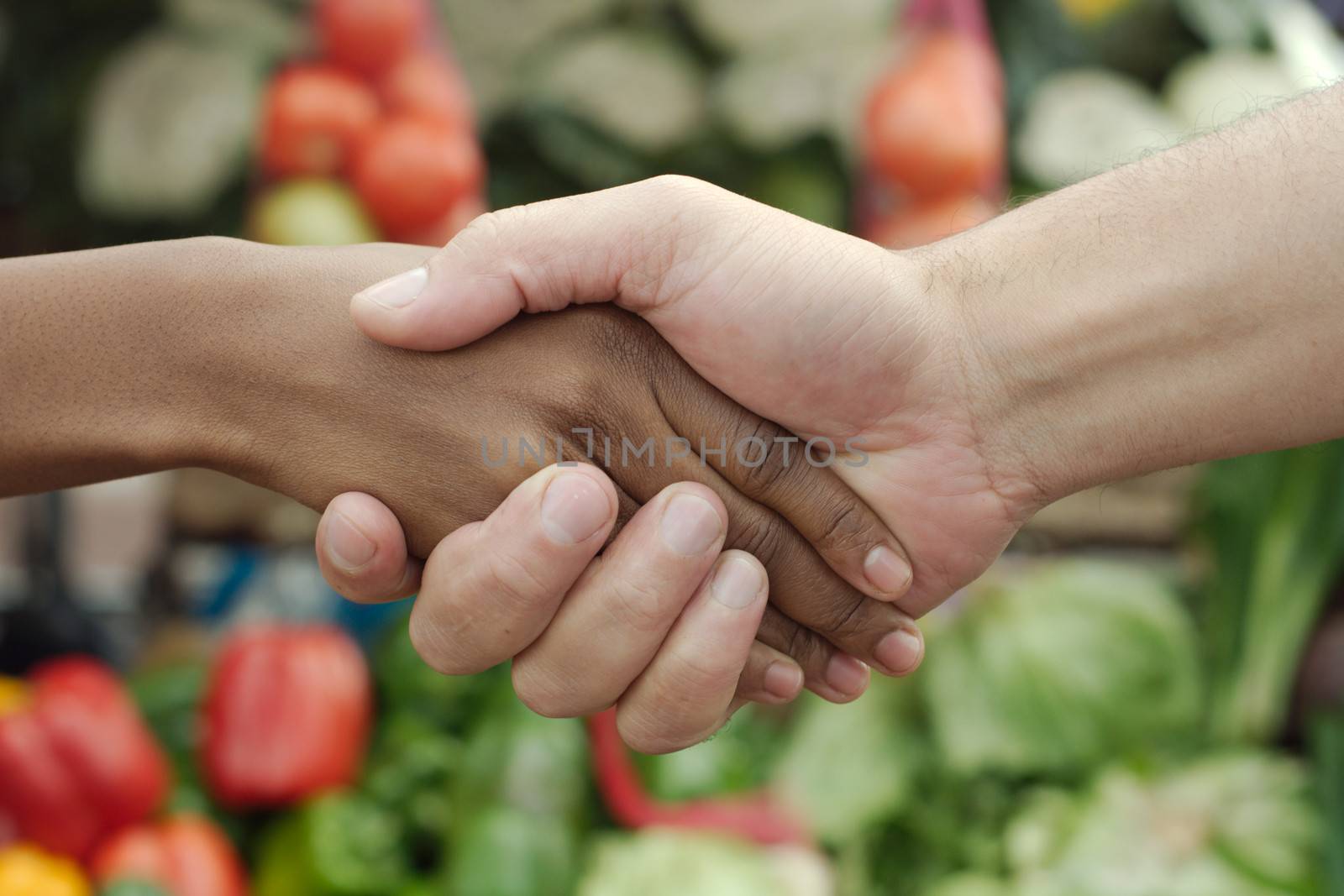African or black American woman handshake traditional market deal in township