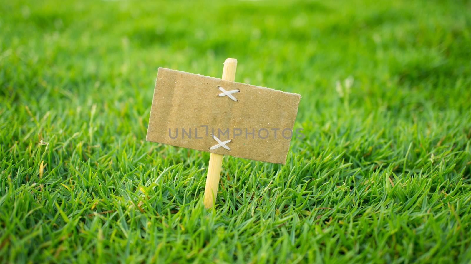 A miniature for sale sign on green grass