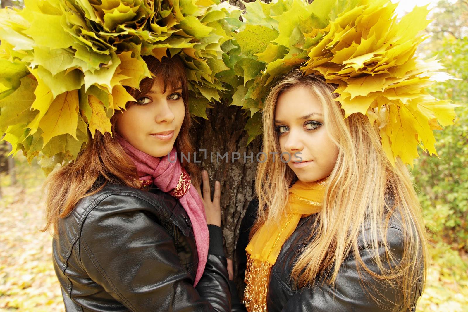 two girlfriends in wreaths by Mallivan