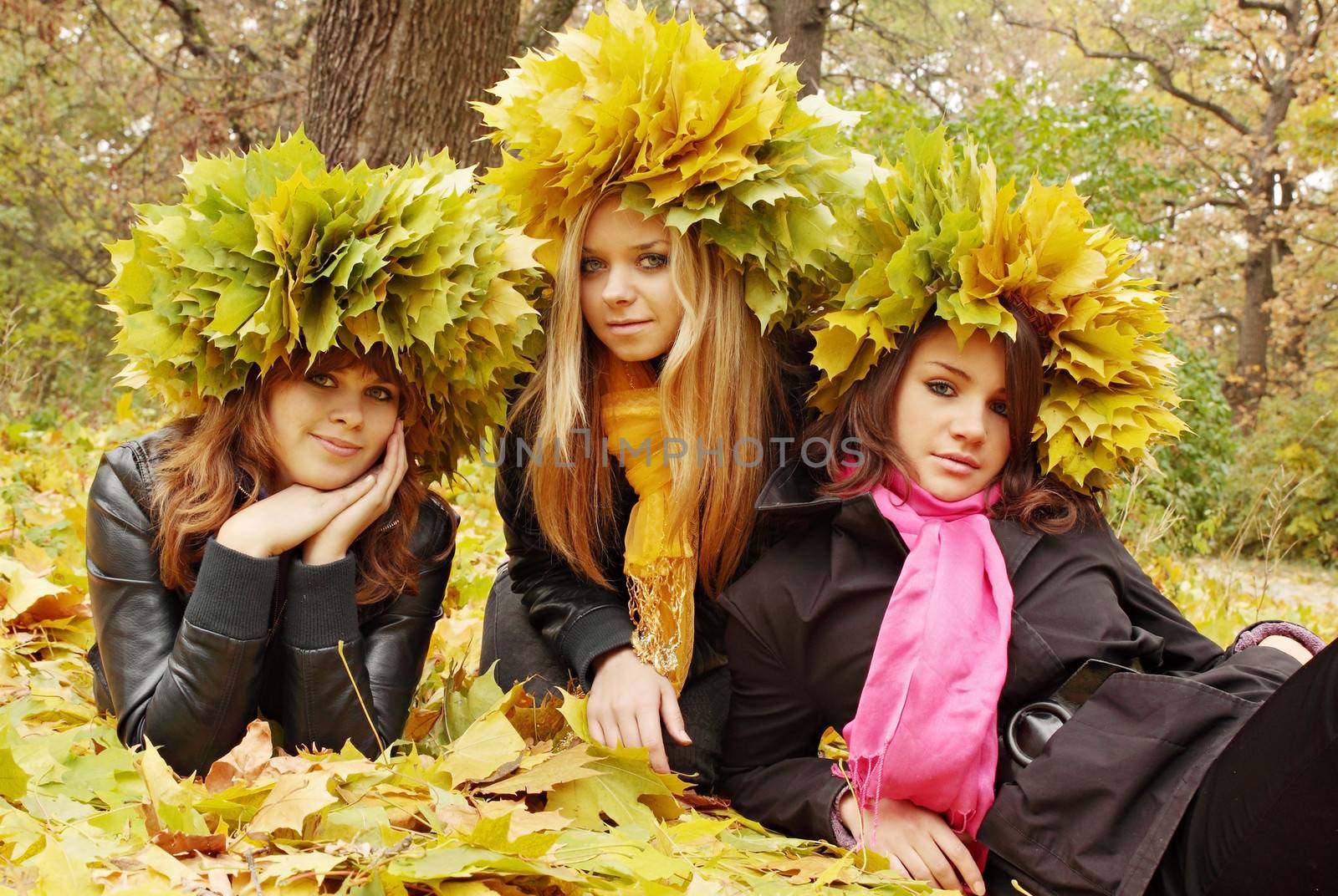Three Beauties in a wreath by Mallivan