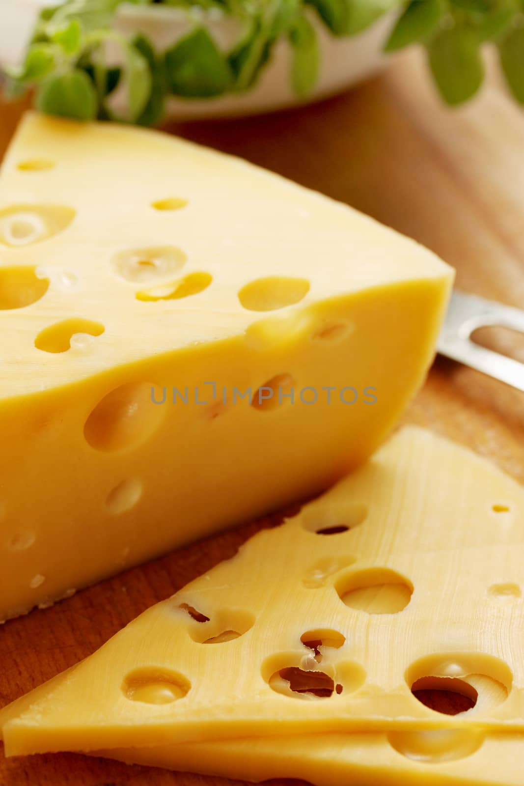 A thin slice of cheese cut from the large chunk of Swiss Syrah