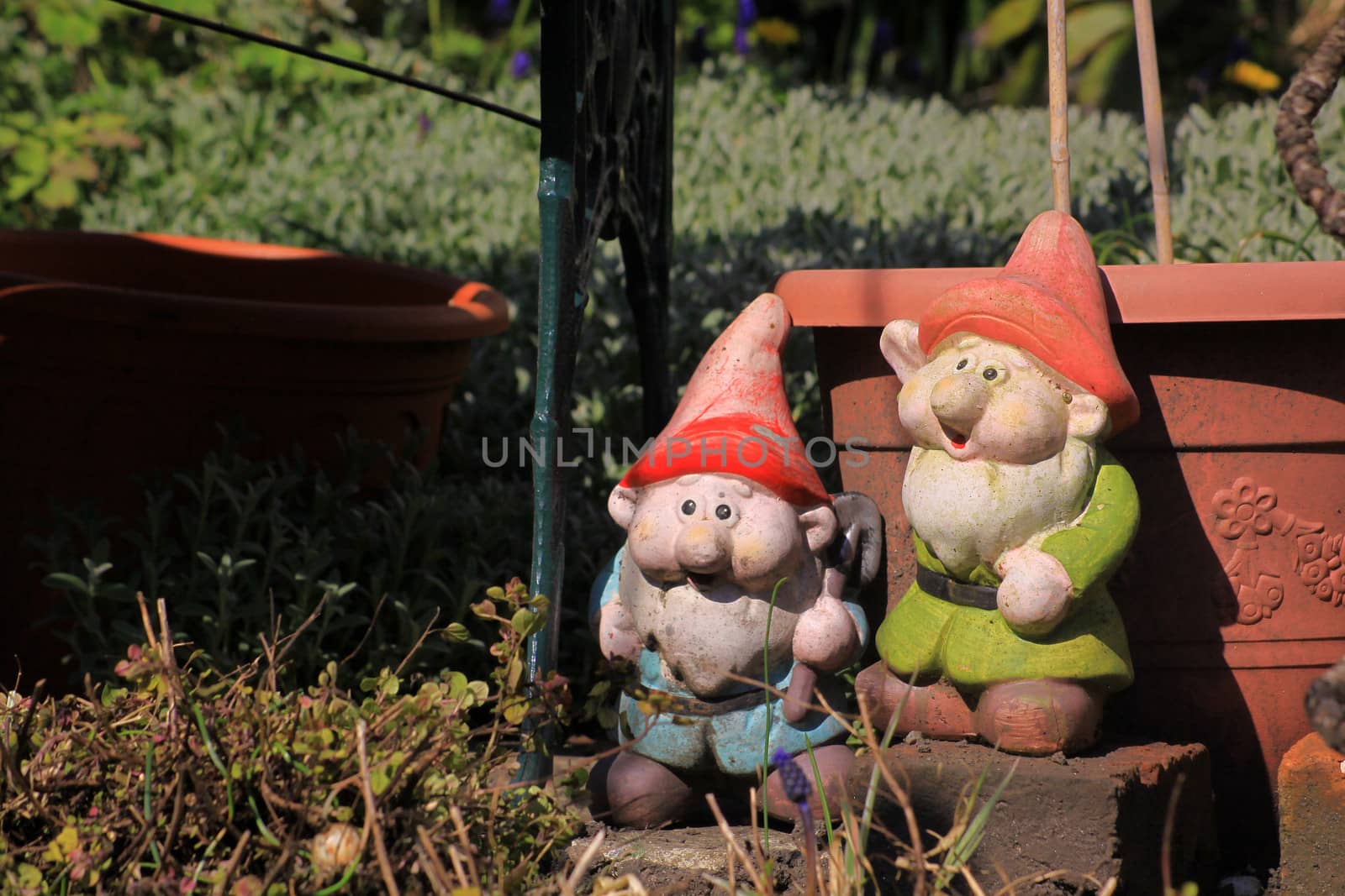 Two garden gnomes in a city garden set next to a garden bench and in front of a teracotta coloured plastic plant pot. Set on a landscape format.