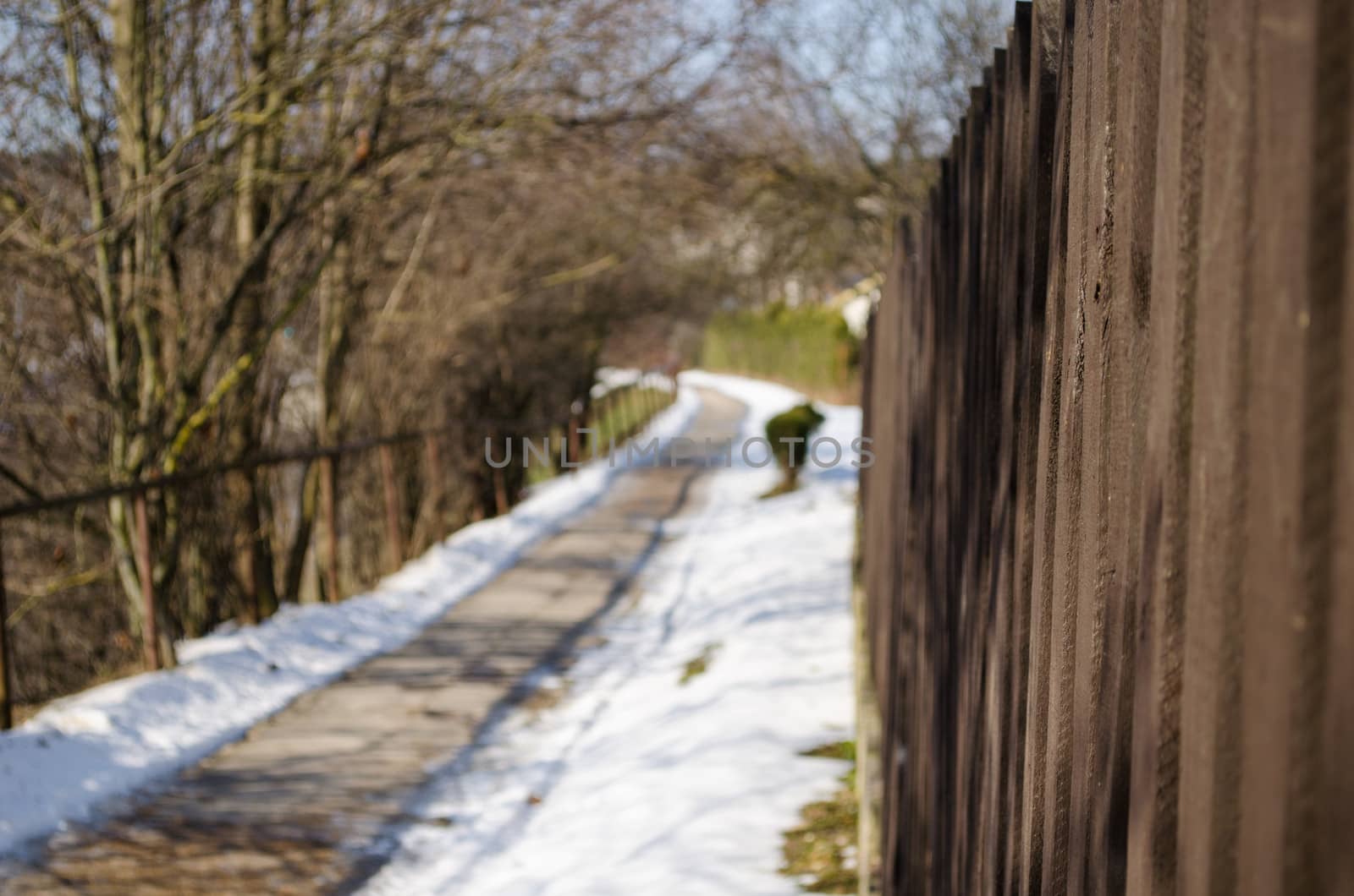 bright brown colored plank fence and winding path trees in spring