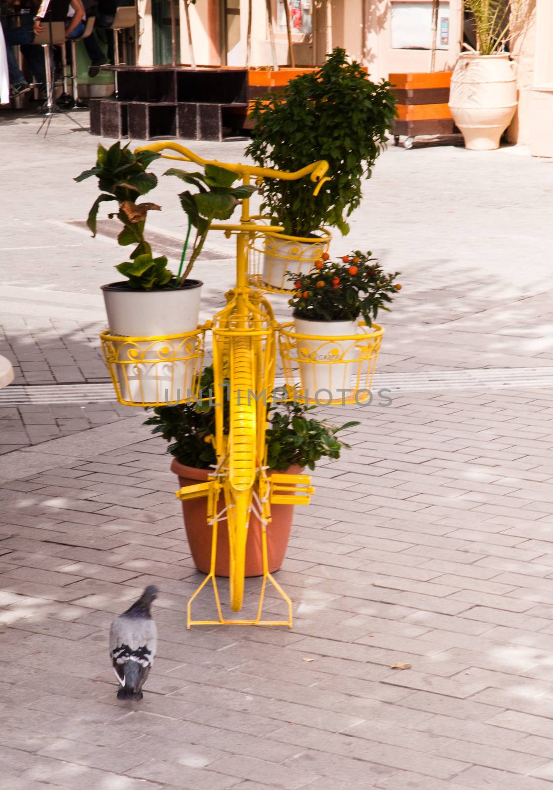 Decorated bicycle . by LarisaP