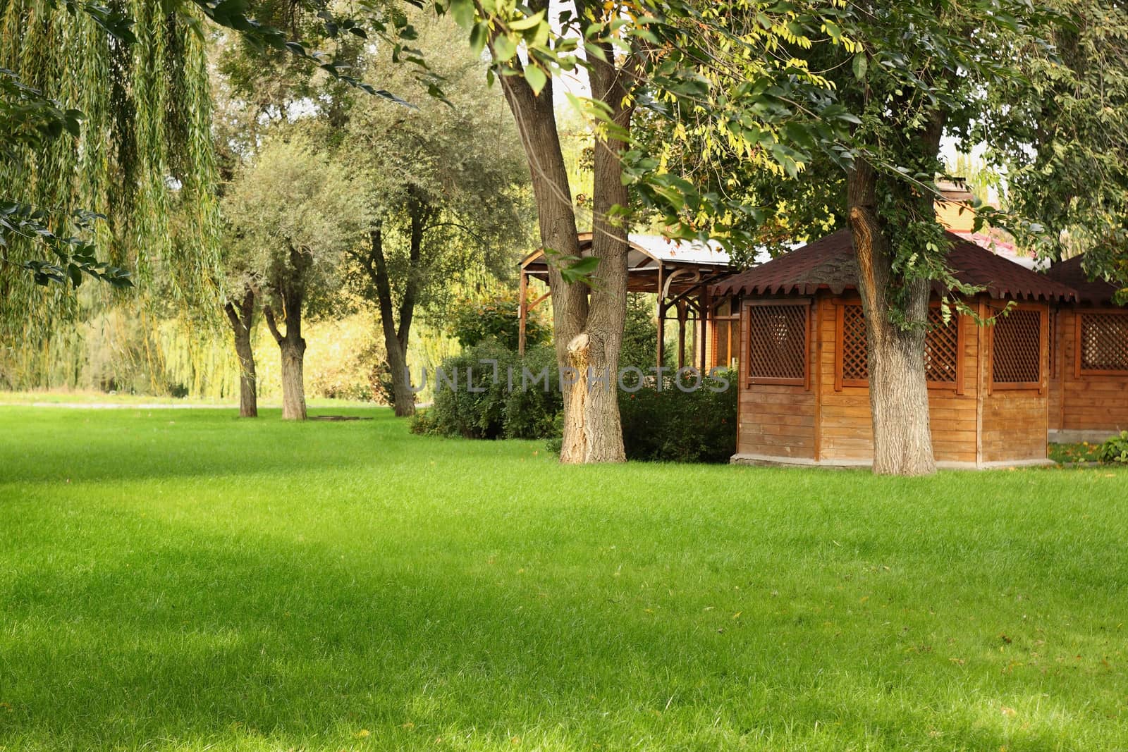 wooden gazebo on the green lawn with tree