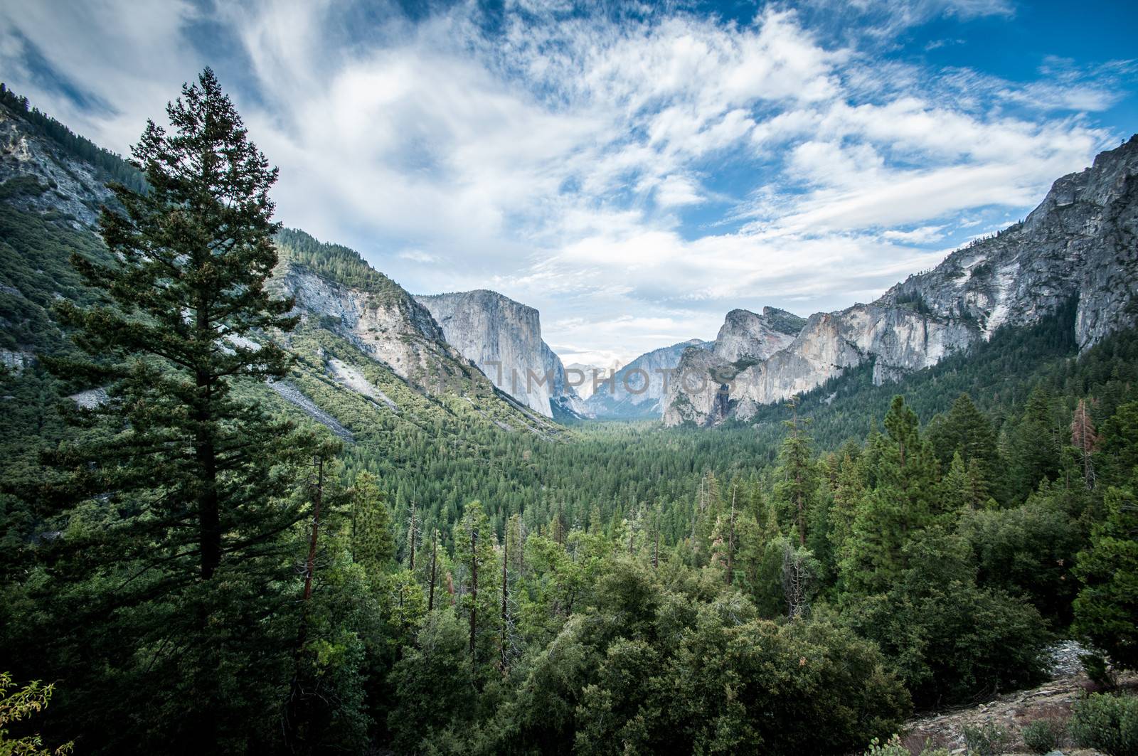 Yosemite el capitan and half dome scienic view panorama