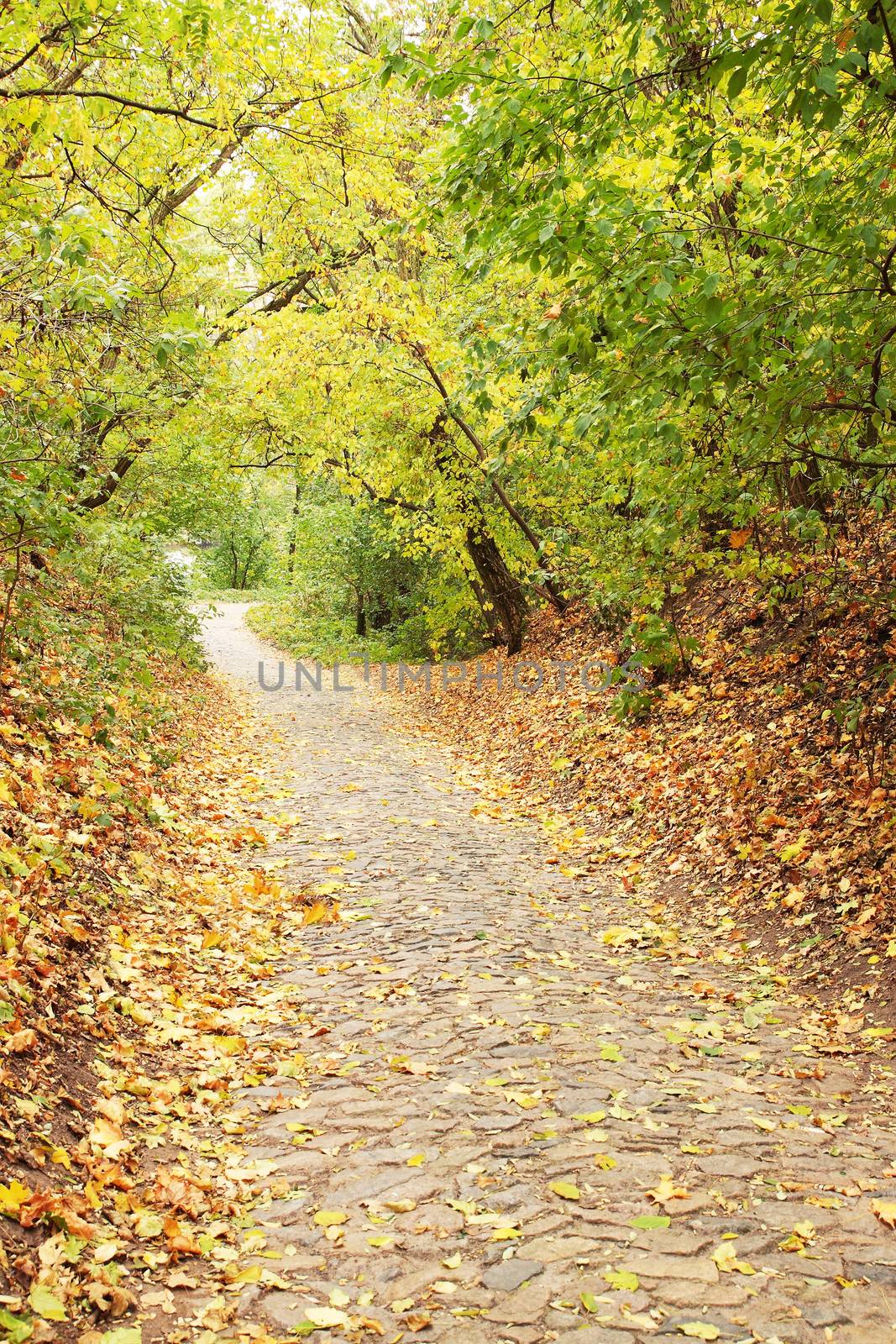 Autumnal park/ alley of stone the block