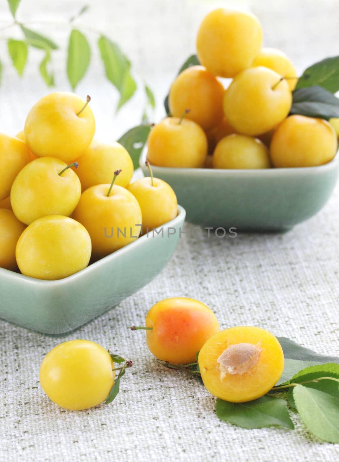 Two plates of the yellow damson plum