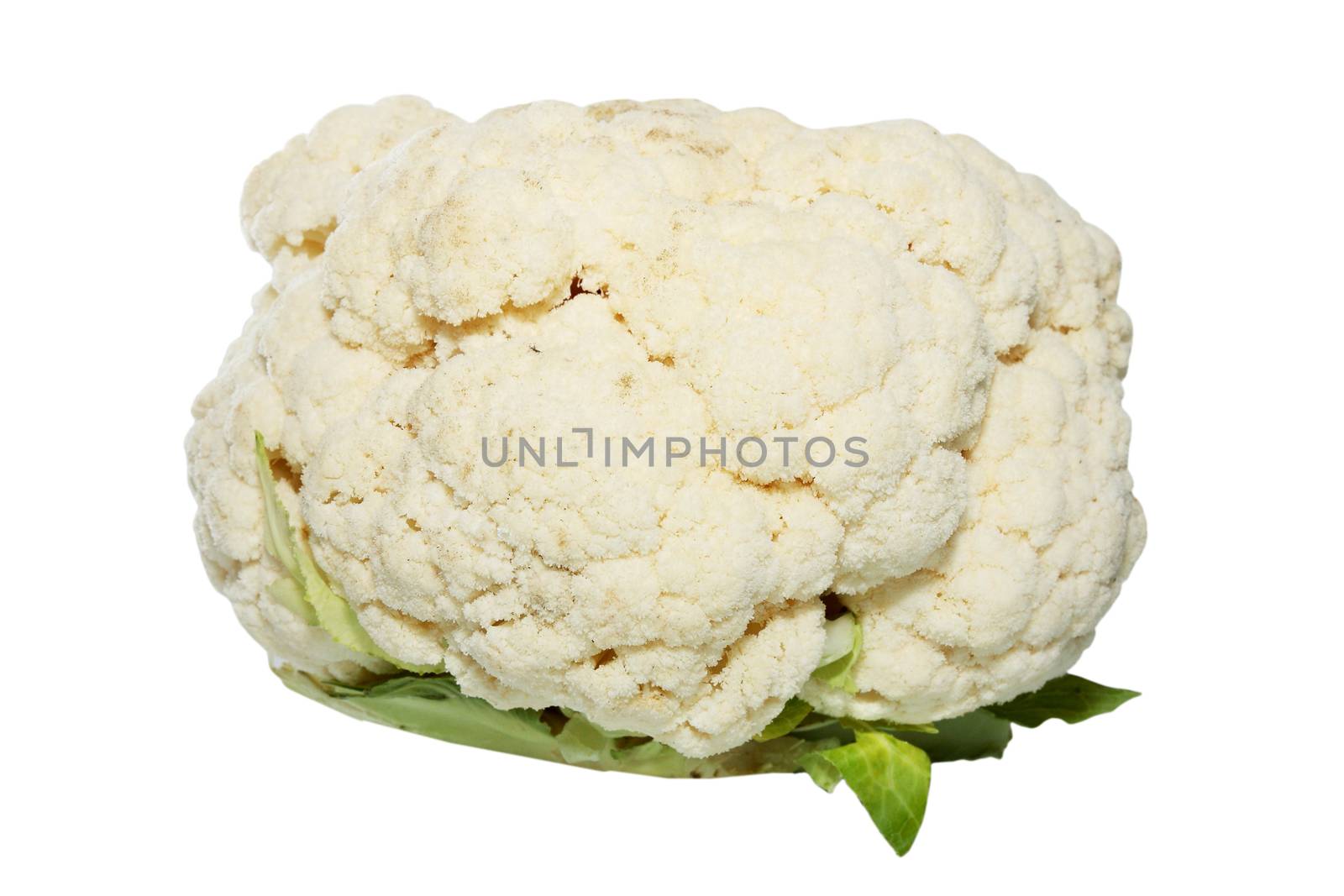 Cauliflower is isolated against the white background
