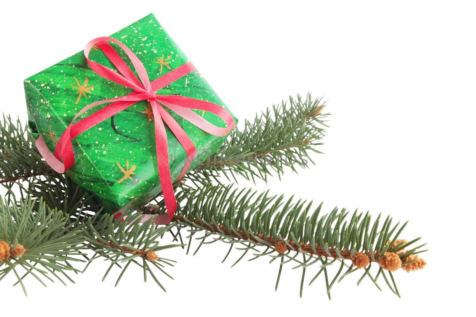 Branch of fir tree with the gift