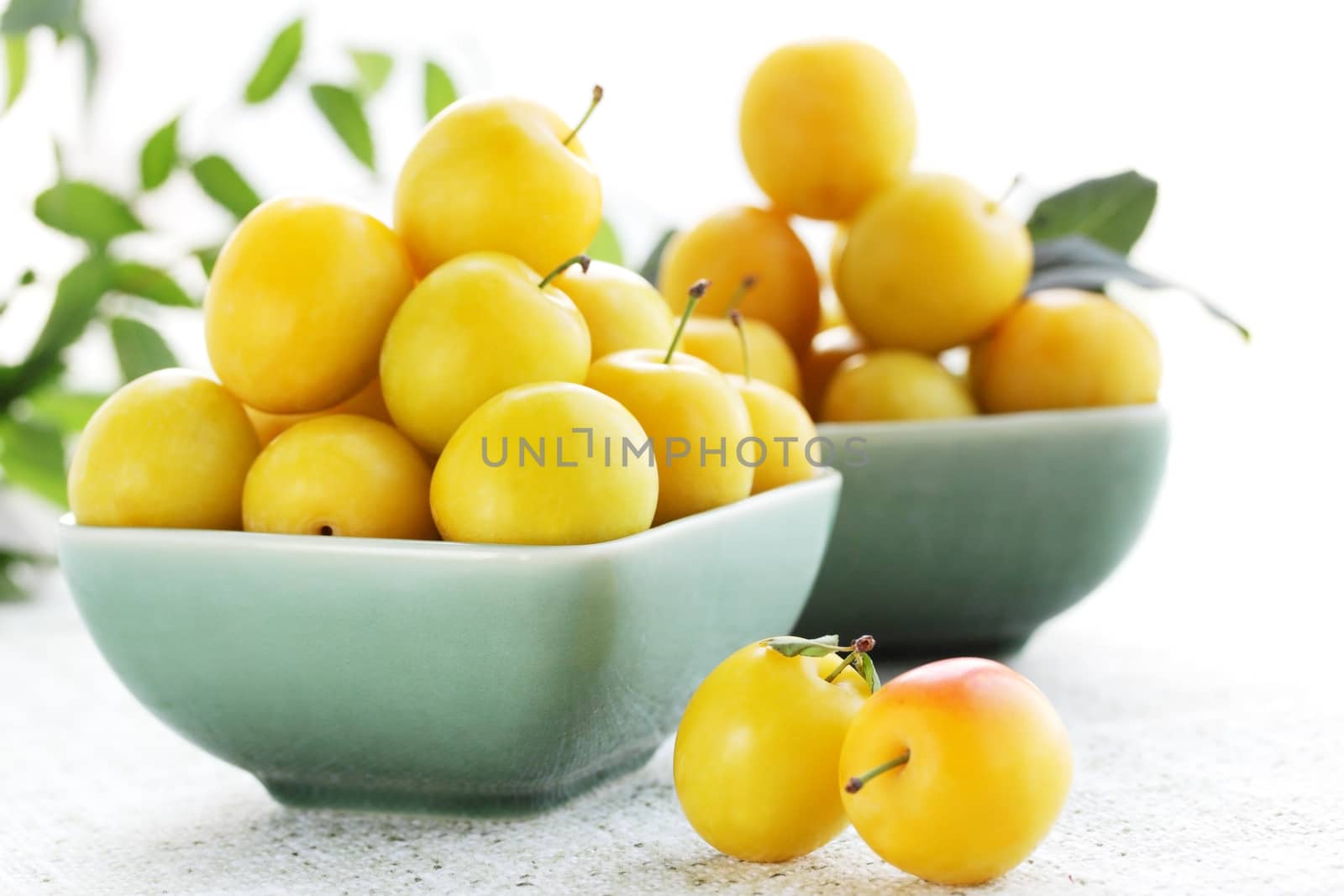 Two plates of the yellow damson plum