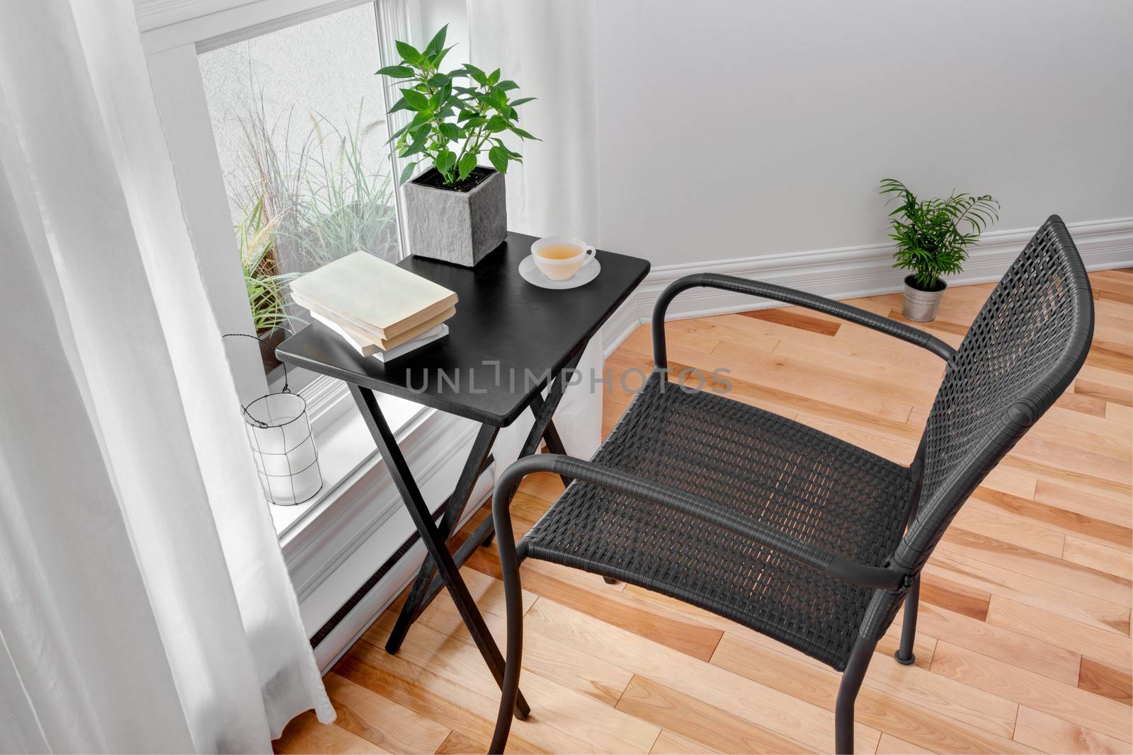 Black chair and table in a bright room with green plants.
