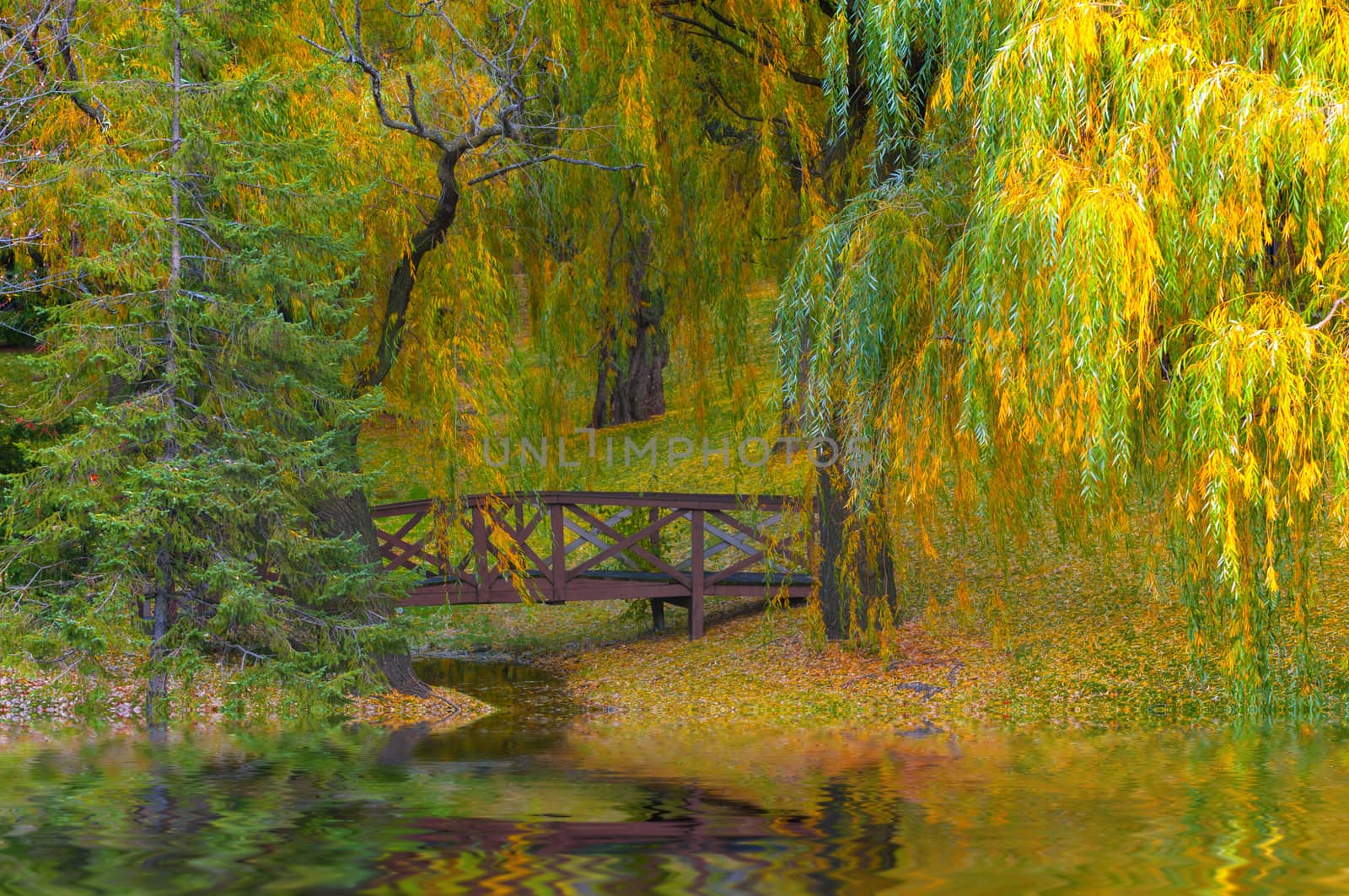 Autumn - Small bridge colorfull foliage reflection in the water