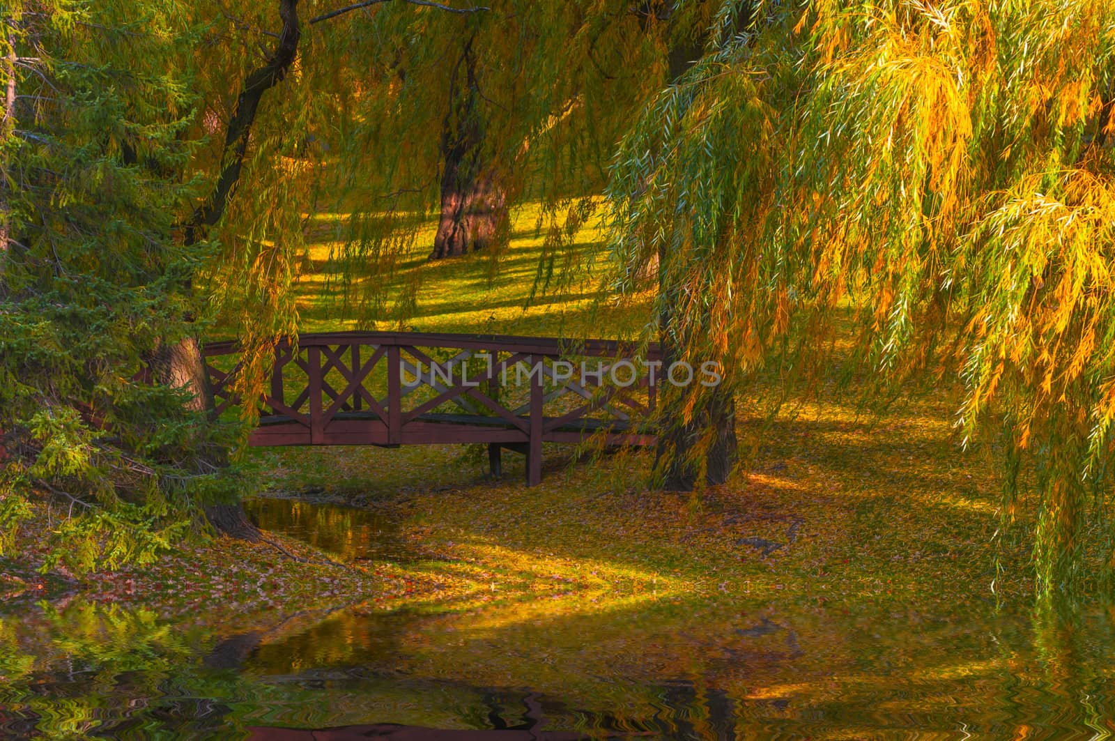 Autumn - Small bridge colorfull foliage reflection in the water
