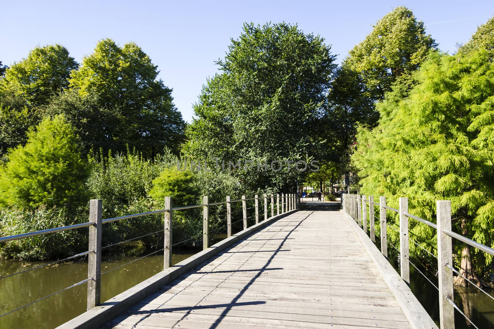 Wooden bridge in green garden in the afternoon by Tetyana