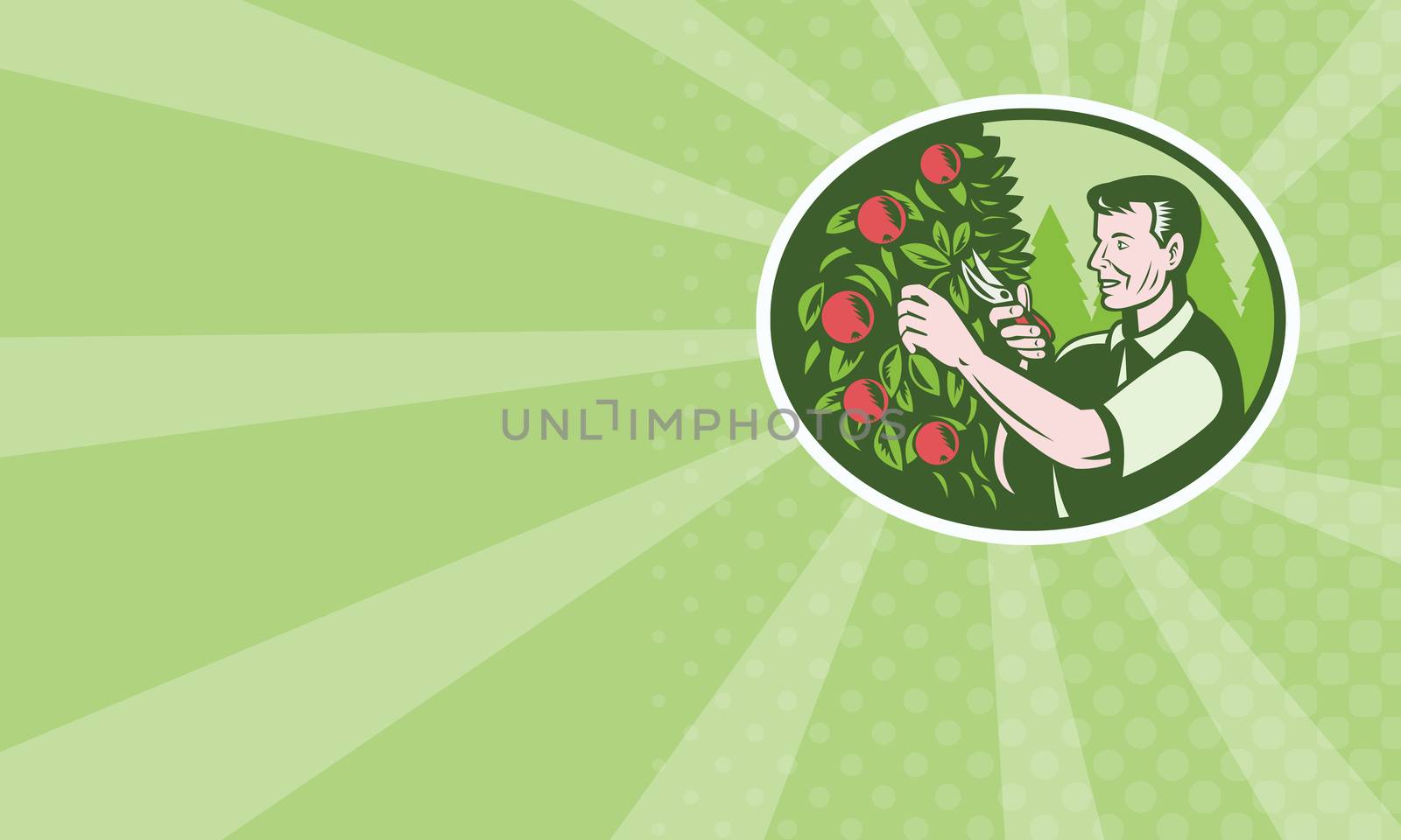 Illustration of a horticulturist farmer fruit picker pruning cutting orchard fruit tree done in retro woodcut style set inside ellipse business card format